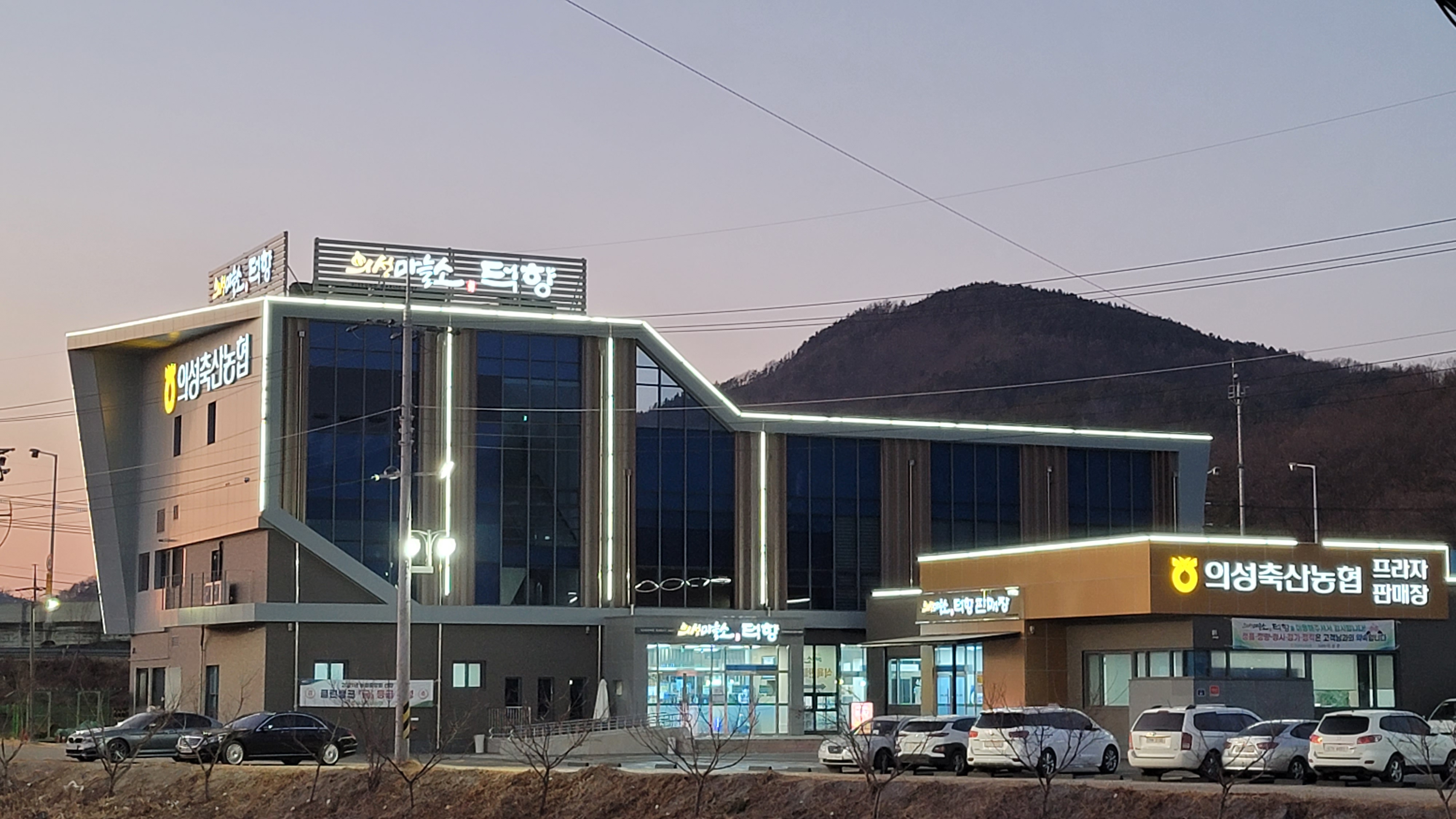 의성마늘소 덕향 2