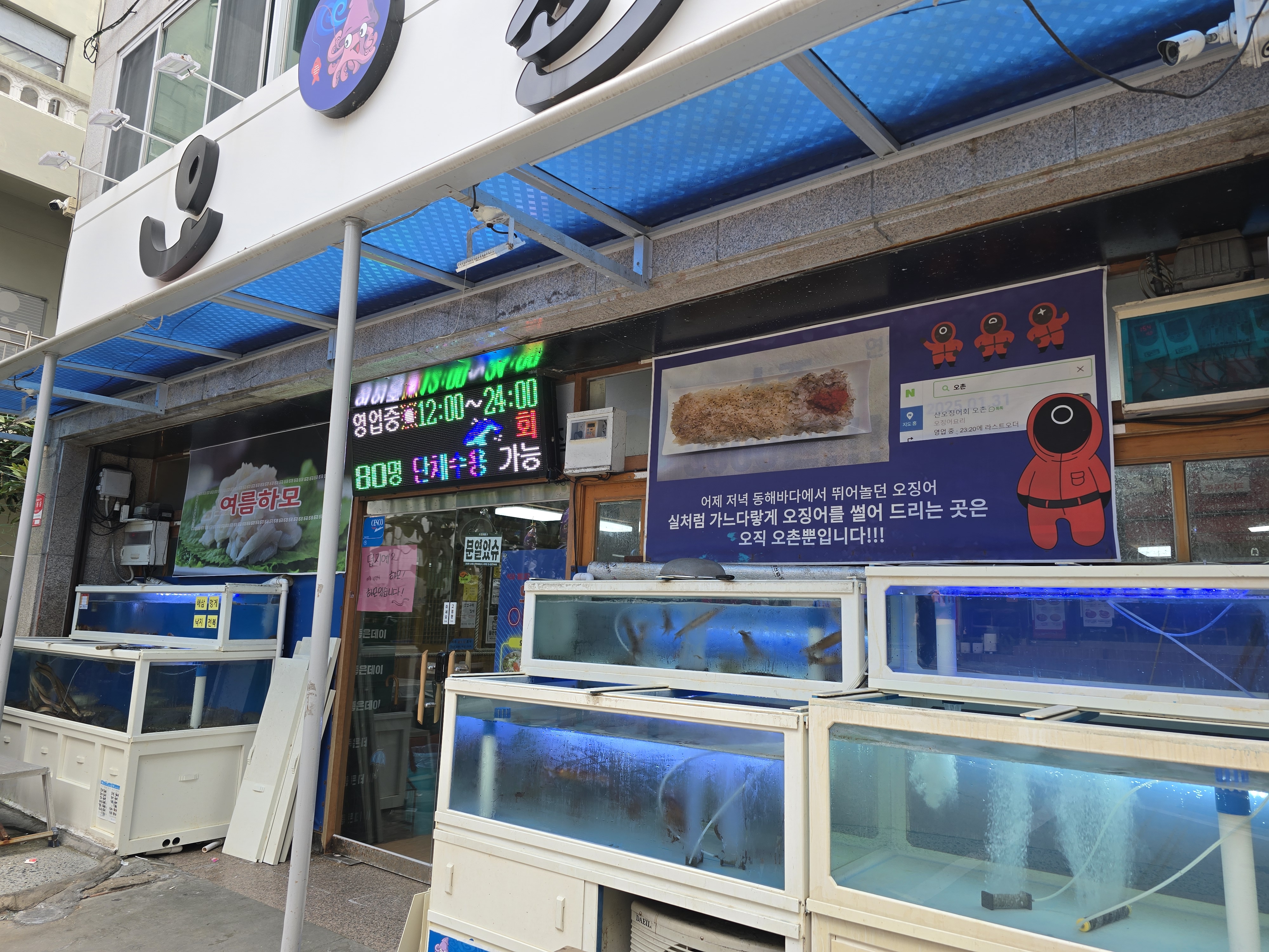 오촌 2