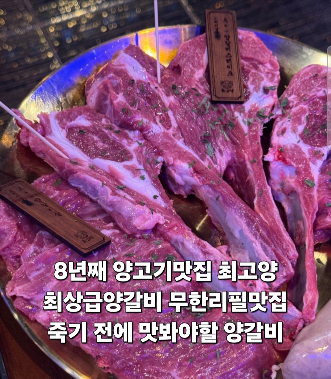 최고양 2