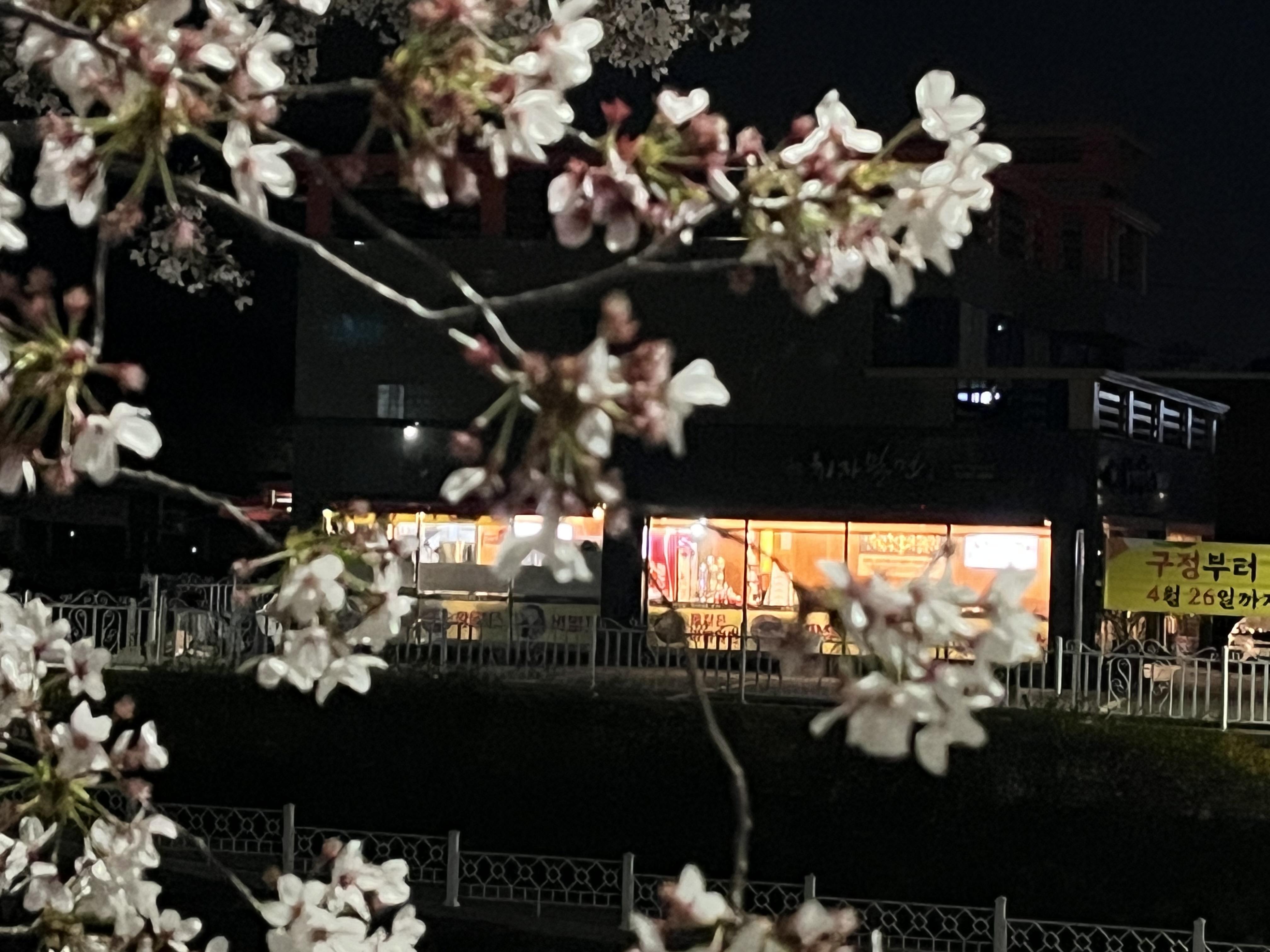치자밀면 본점 사진 8