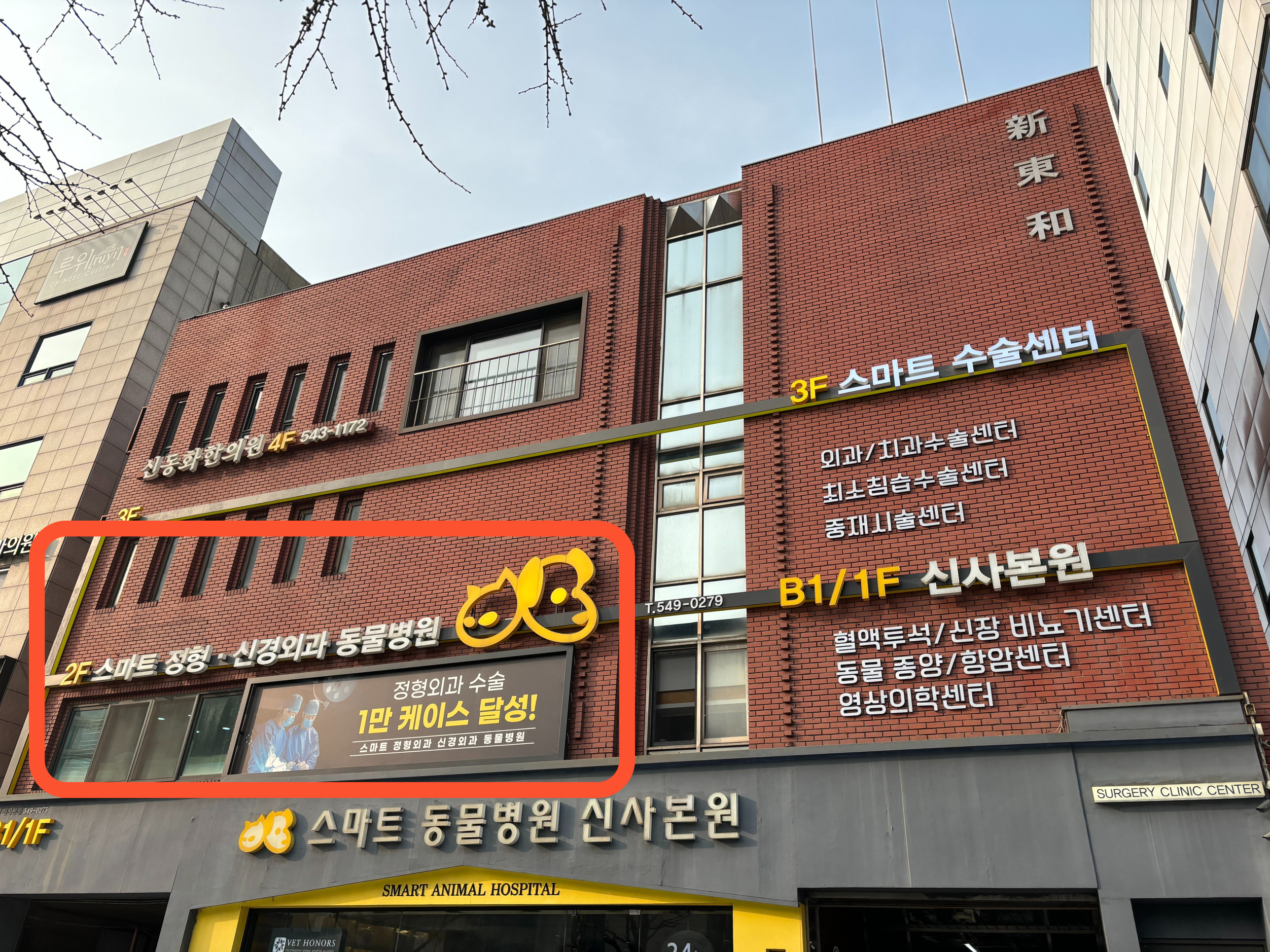 스마트동물병원 정형외과 신경외과