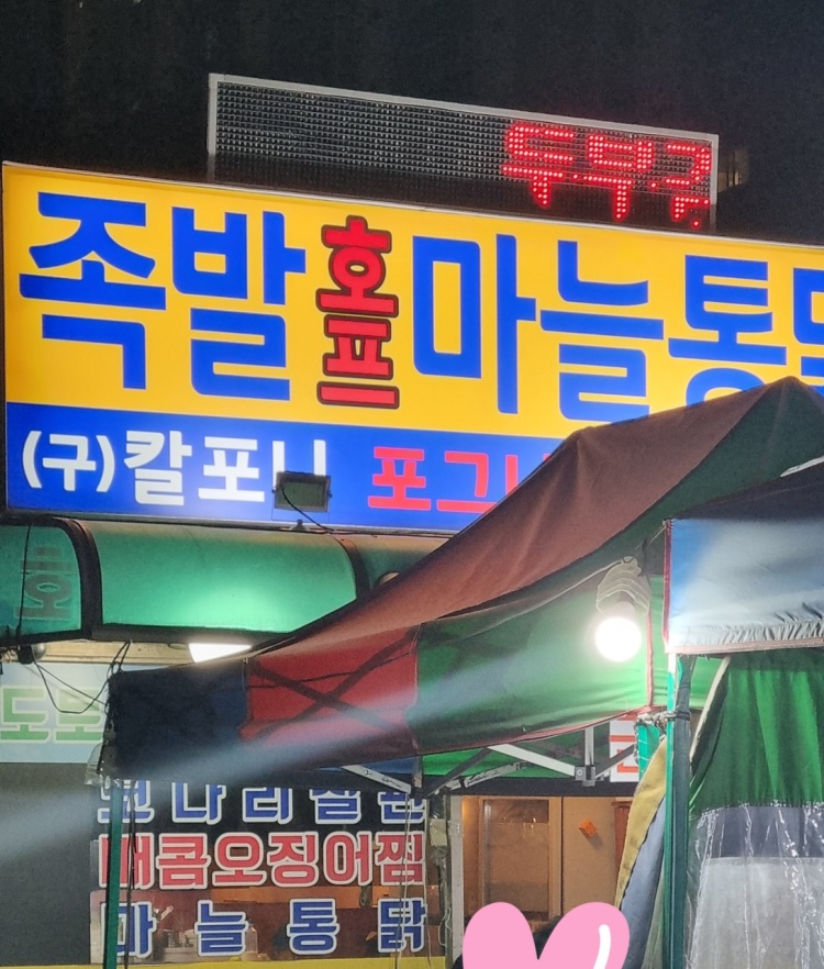 포그니 대표 사진