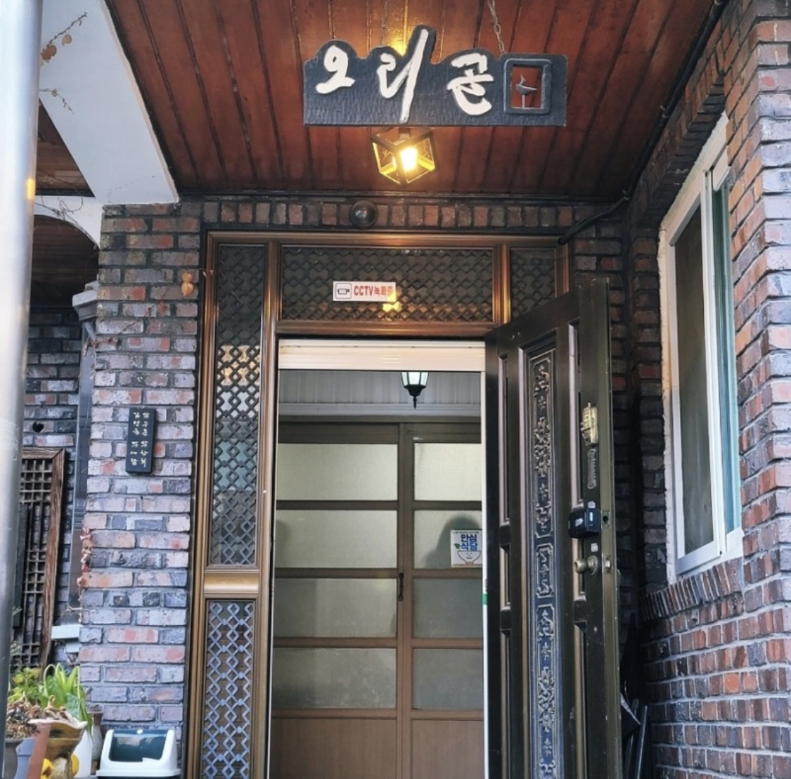 오리골 5