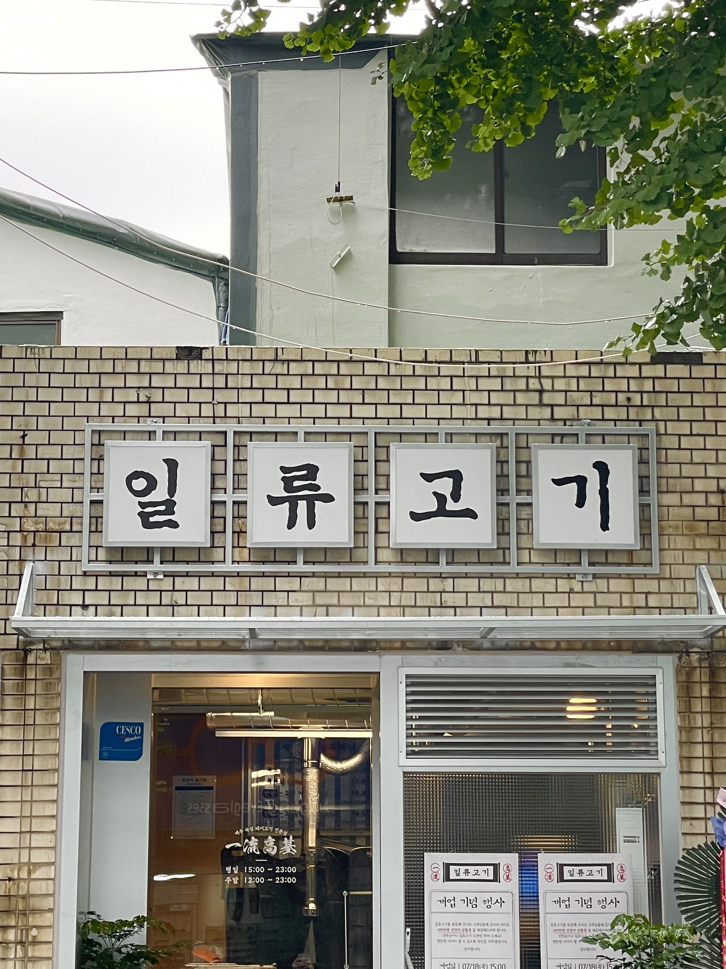 일류고기 사진 5