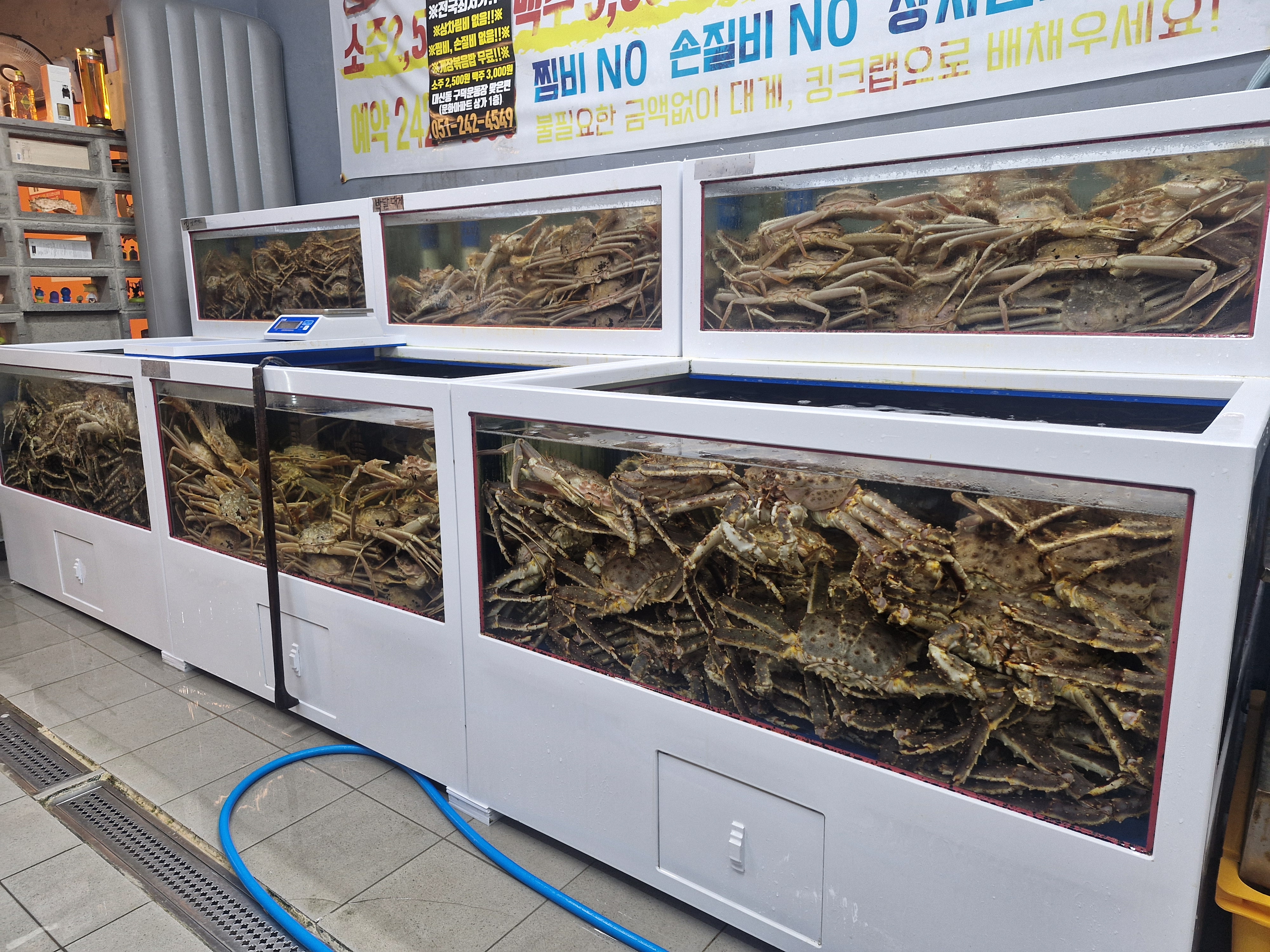 하이수산 구덕운동장점 사진 7