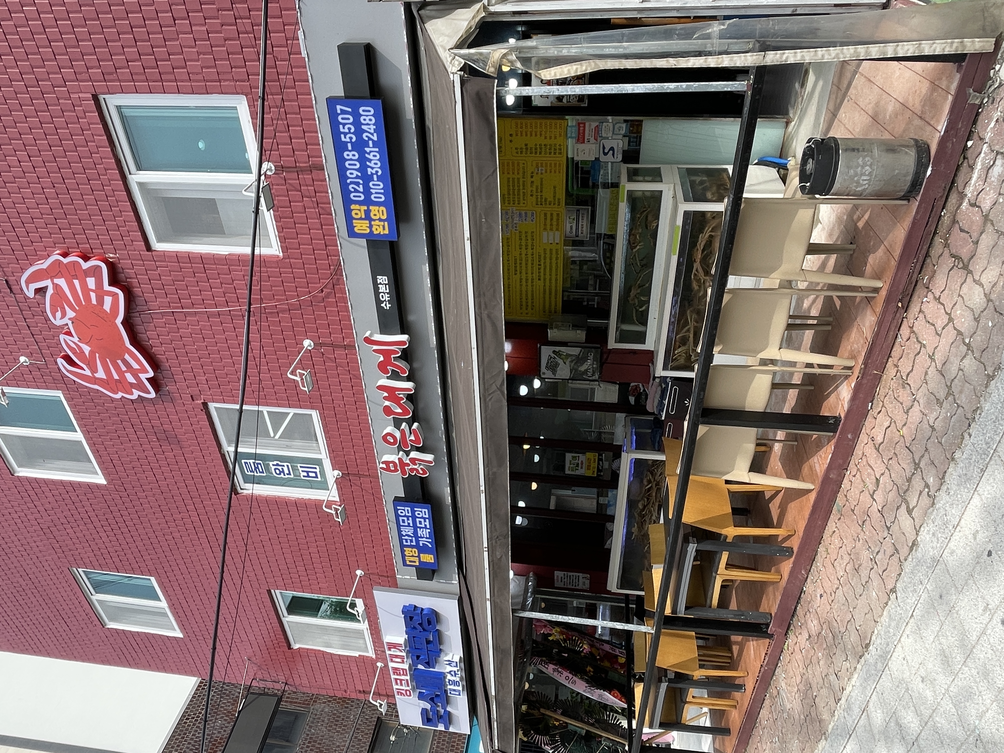 붉은대게 1