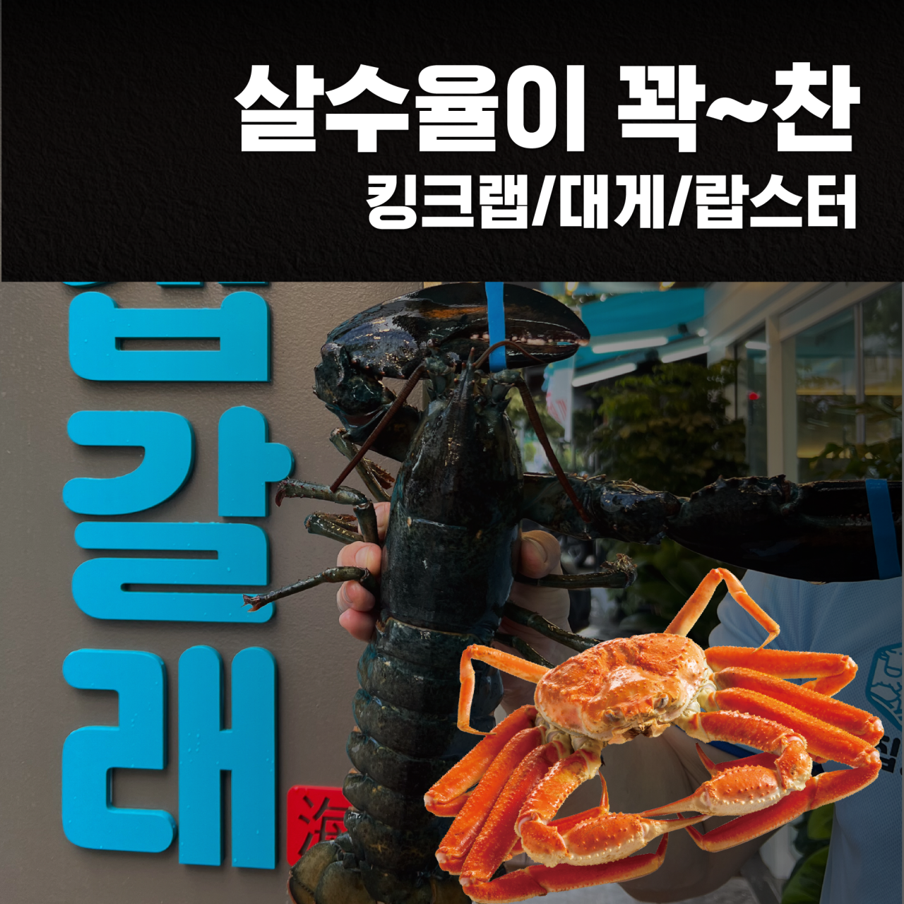 Hoetjipgallae 6