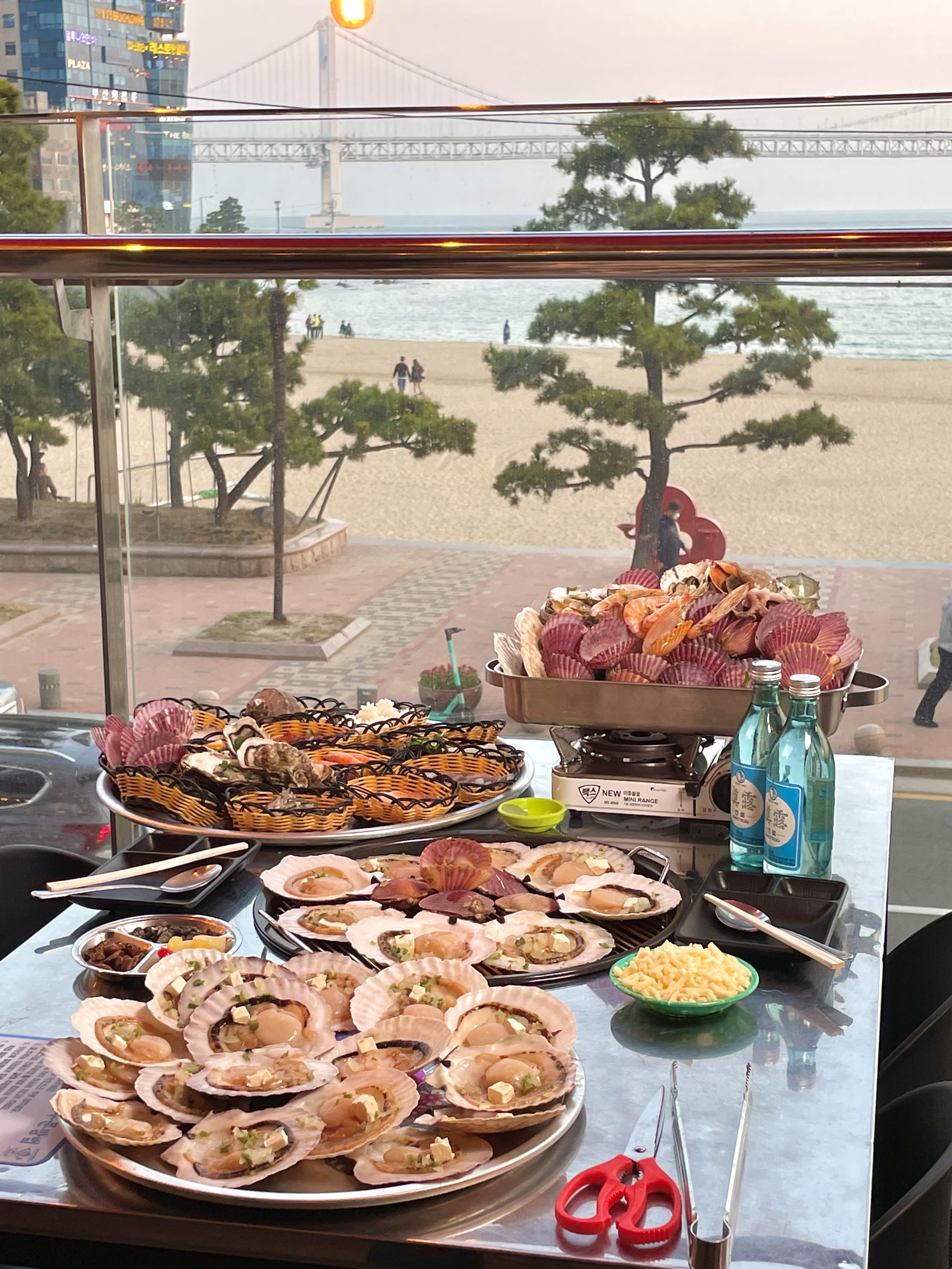 지금조개 사진 2