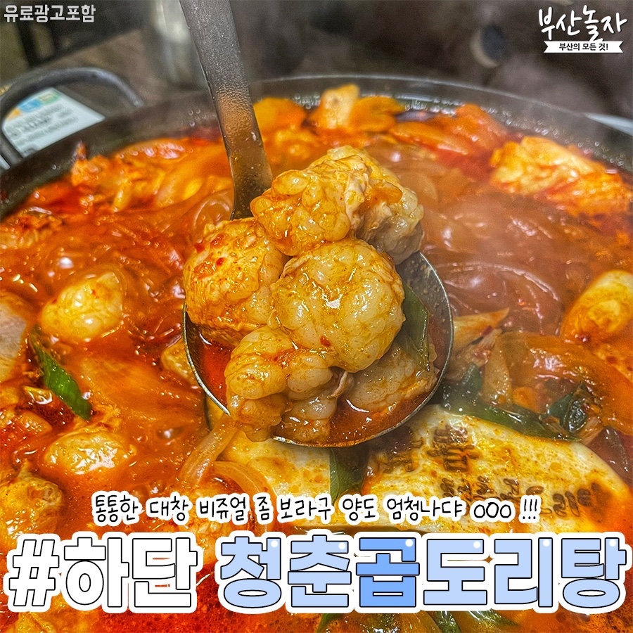 청춘곱도리탕 사진 7