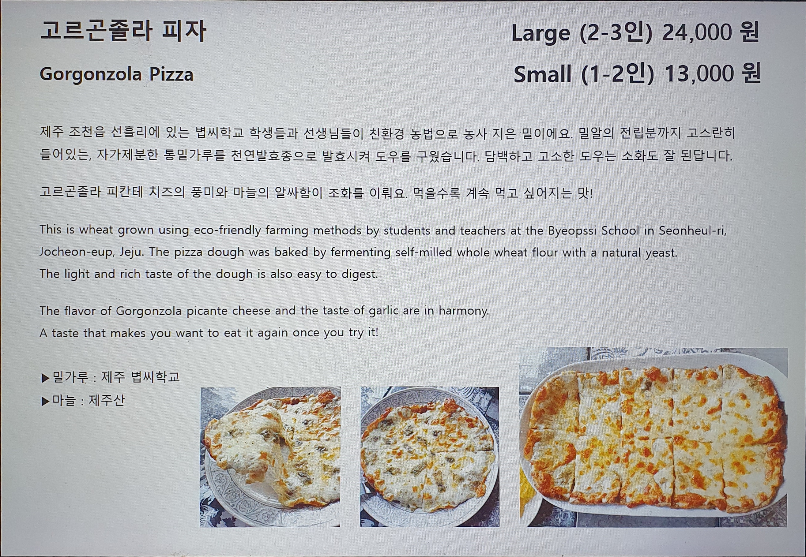 사이 제주 사진 7