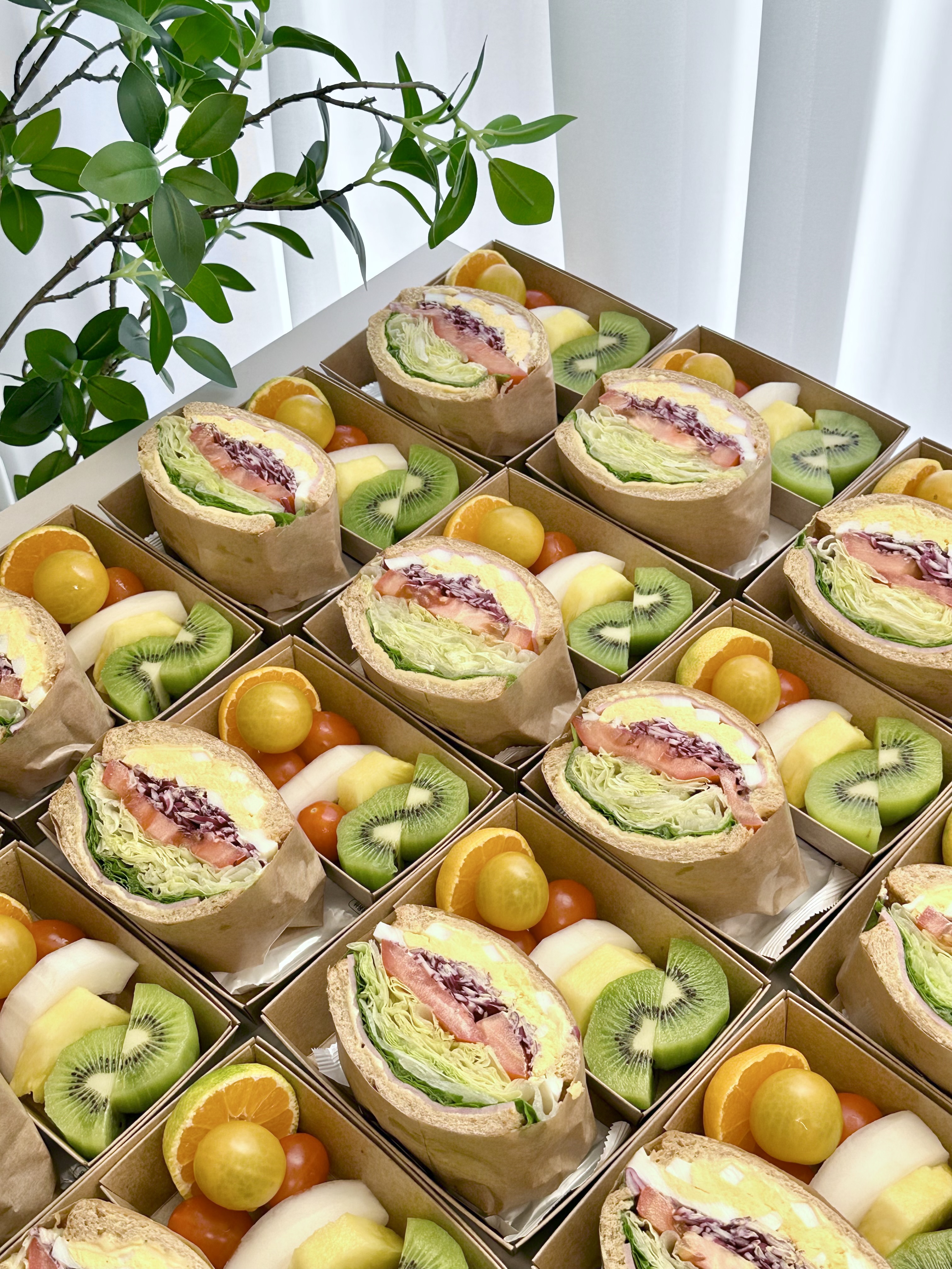 덤피 대표 사진