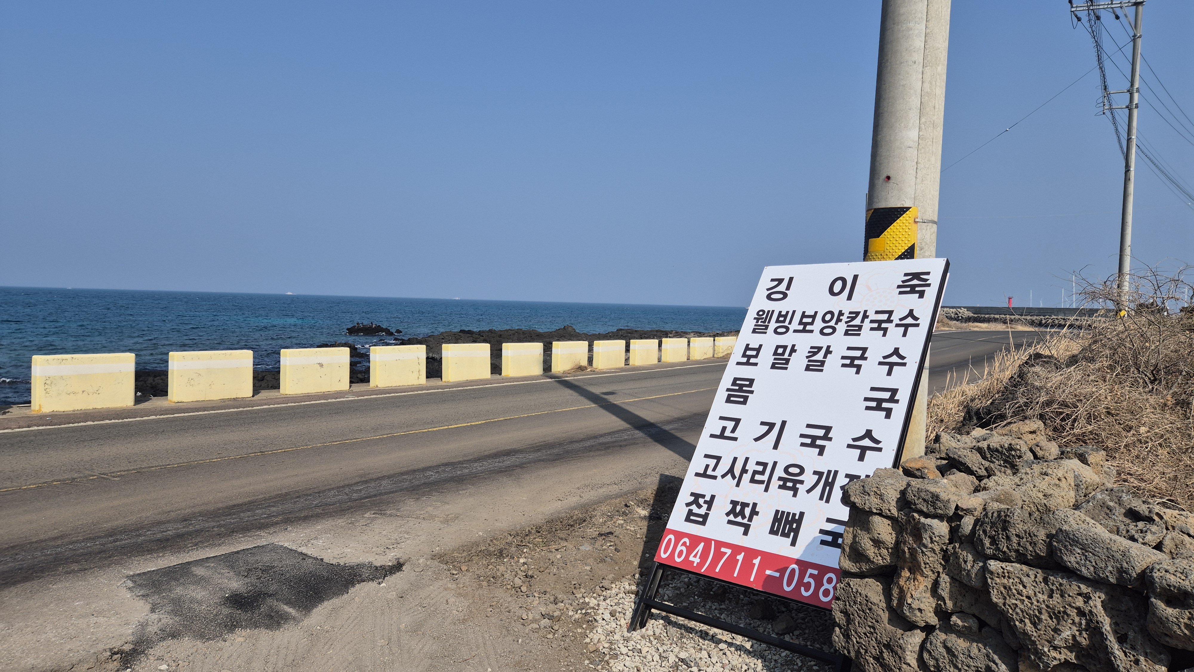 모메존 사진 3