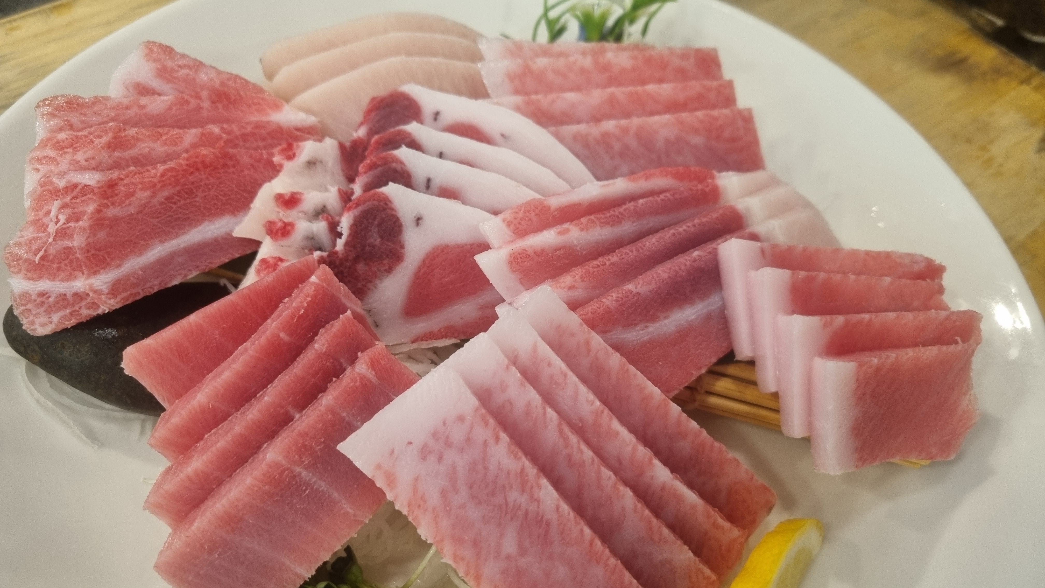 정참치 사진 6