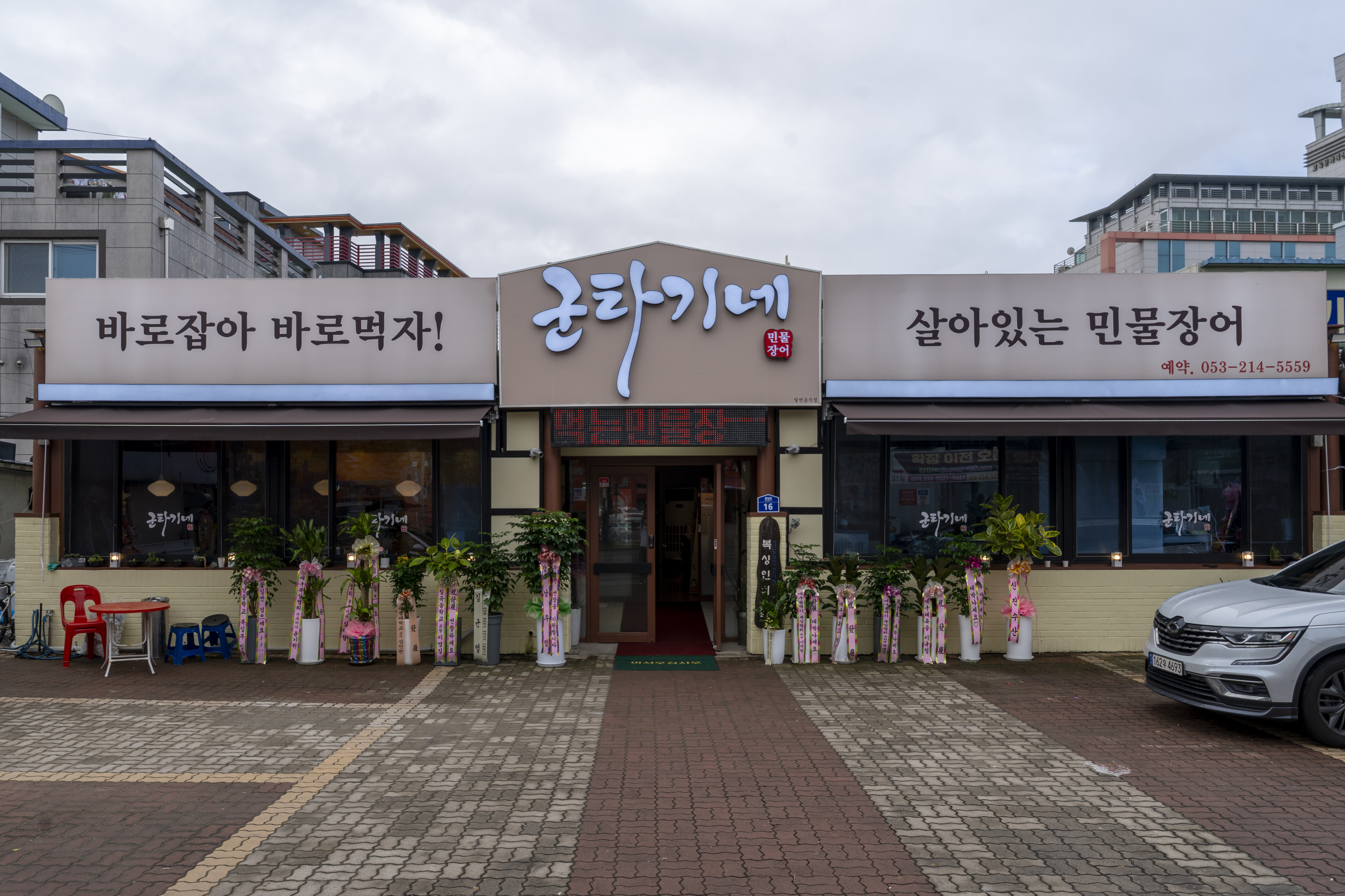 Guntagineminmuljangeo (군타기네민물장어) 1