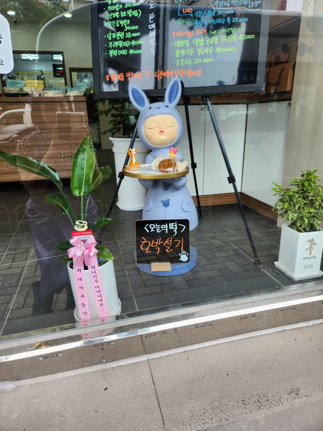 하니시루 사진 5