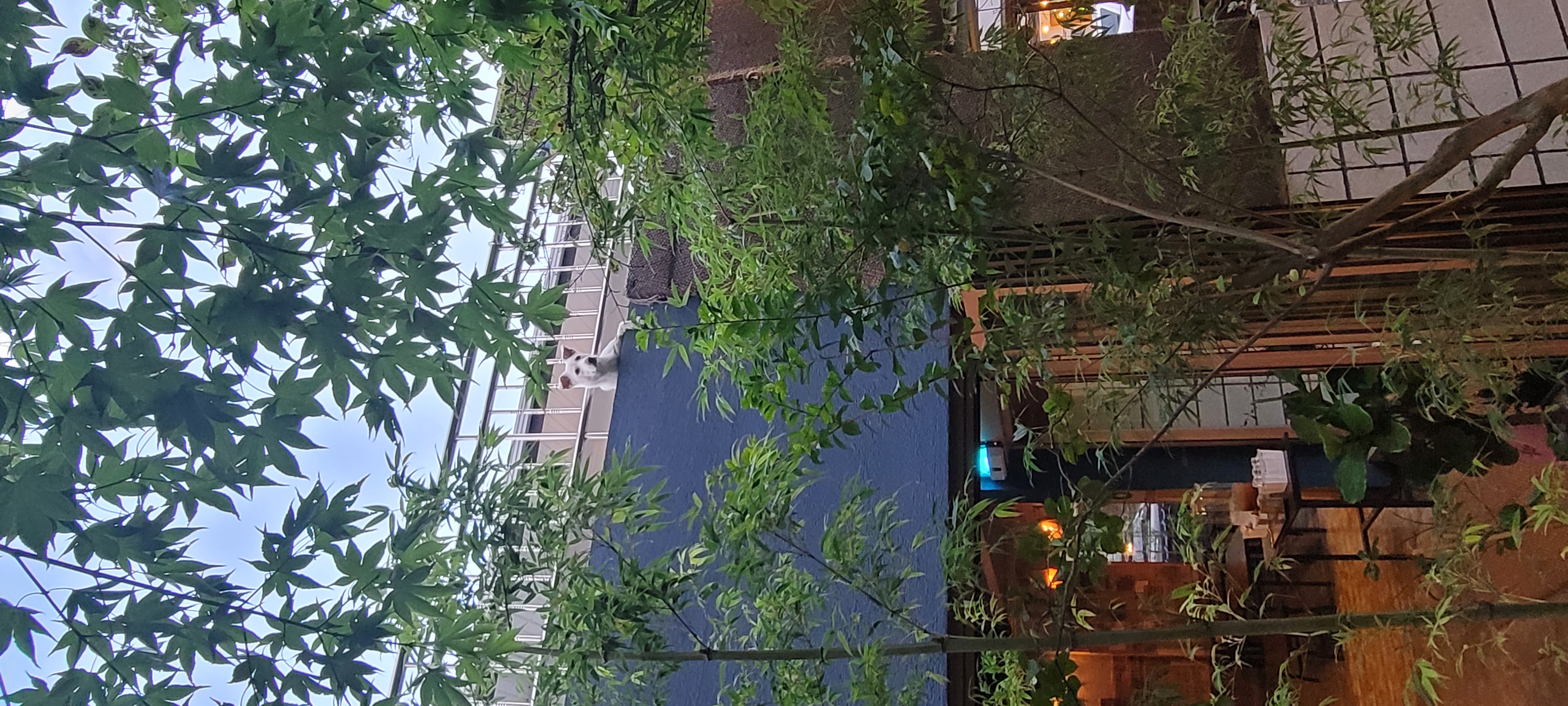 반듯 사진 8