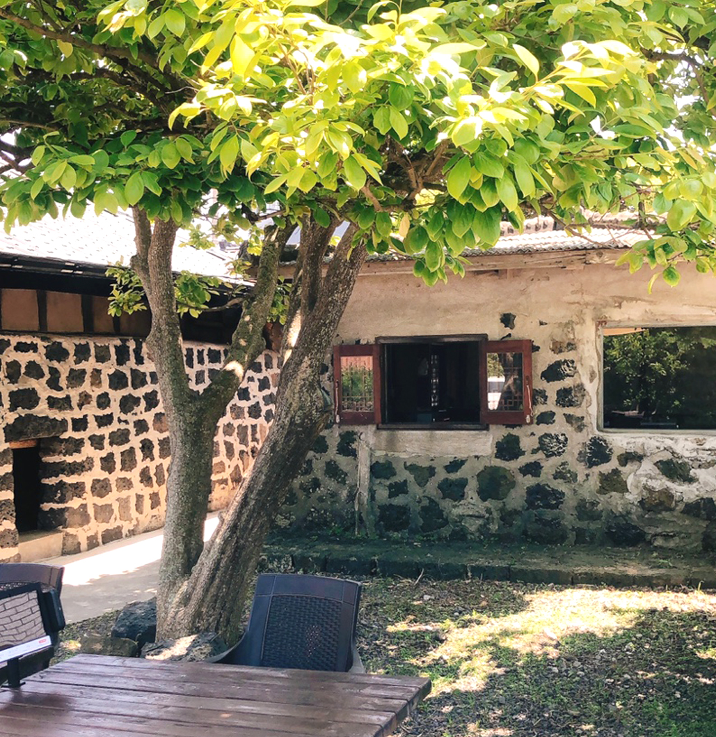 함덕회춘 사진 4
