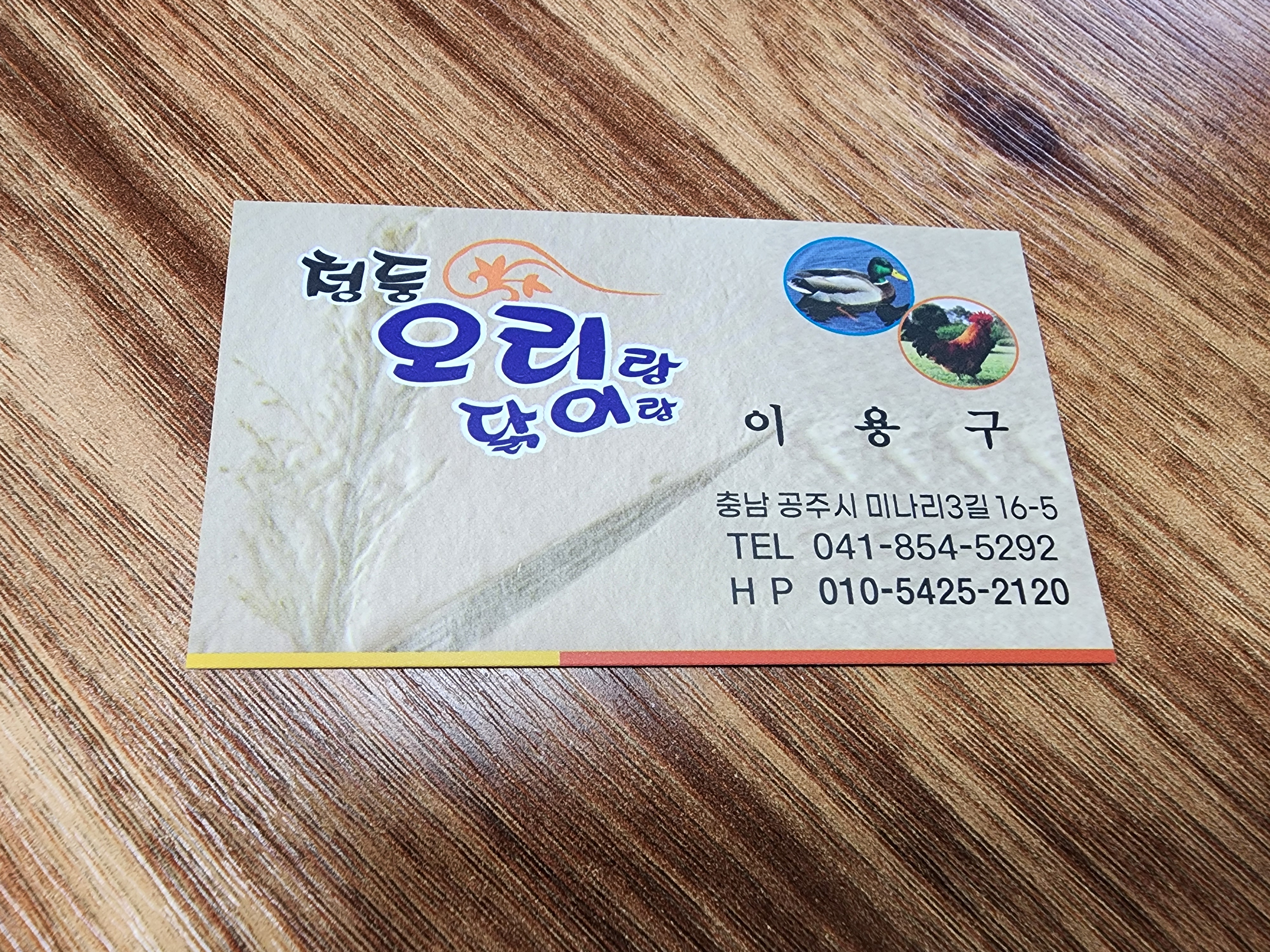 청둥오리랑닭이랑 1