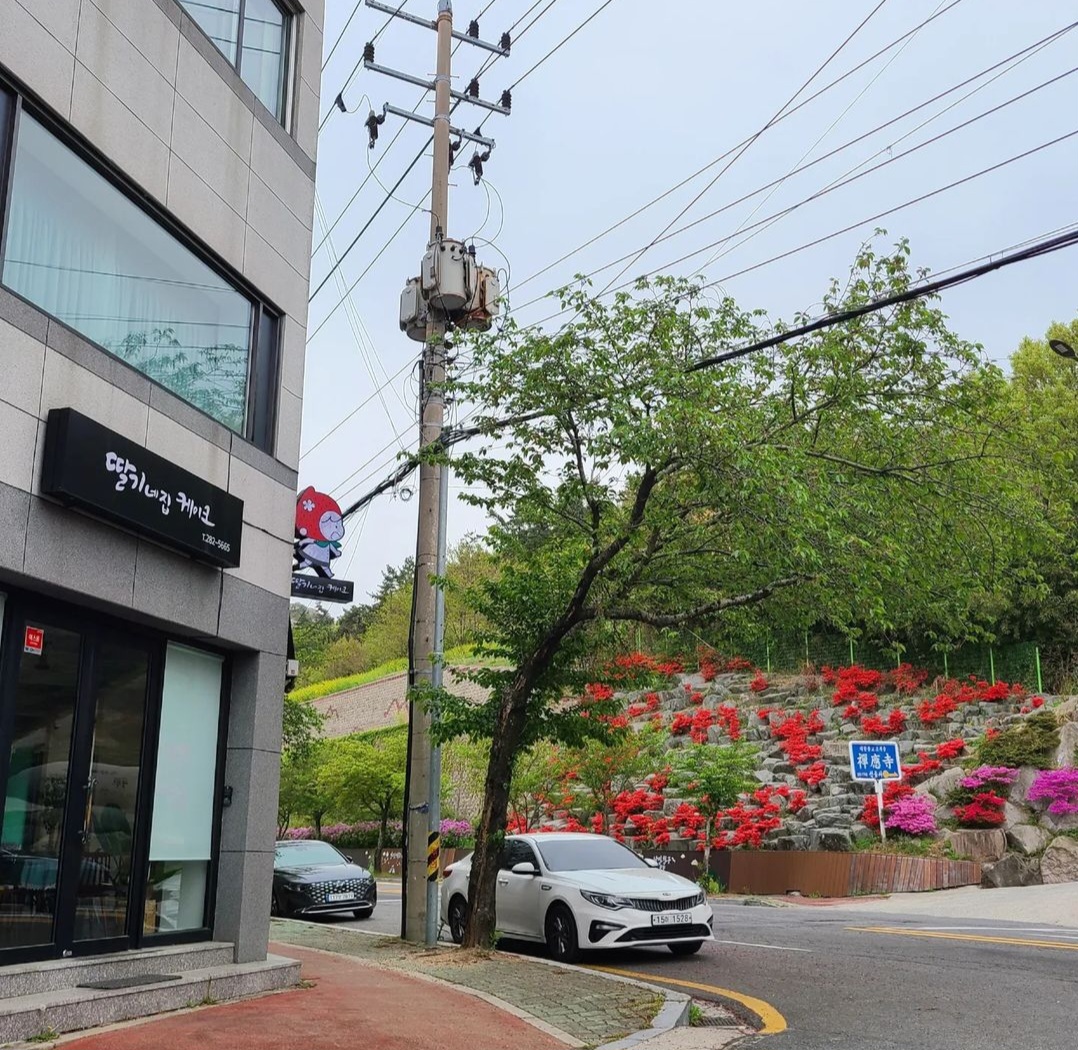 딸기네집케이크 목포점