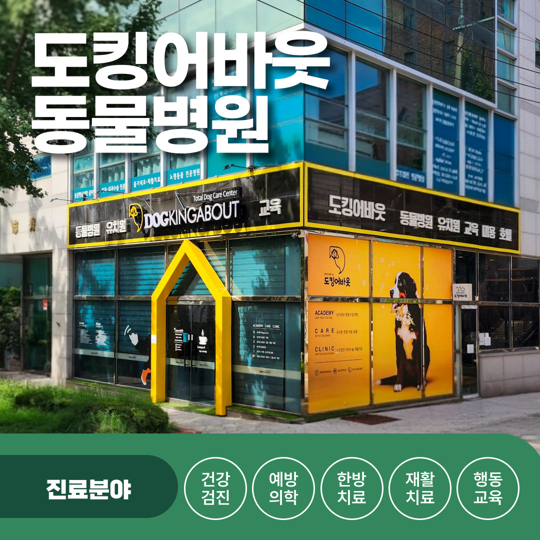도킹어바웃 동물병원