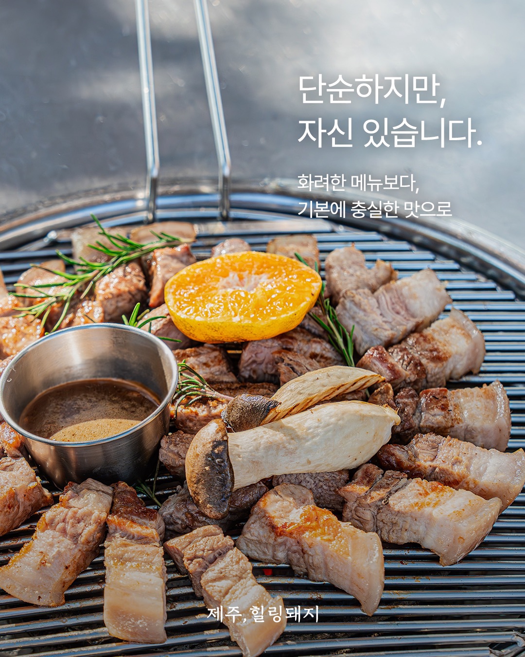 제주힐링돼지 사진 8