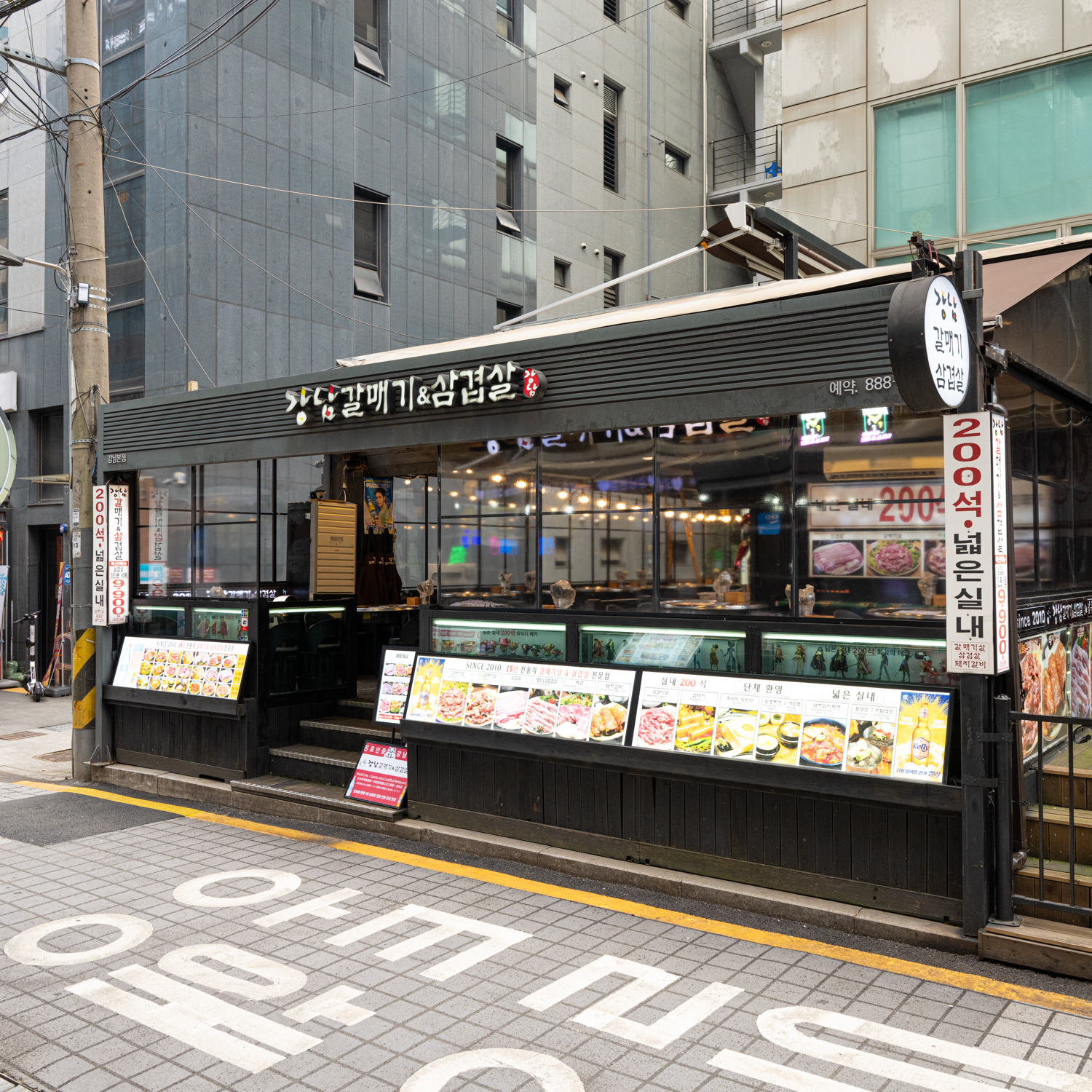 강남갈매기 사진 6