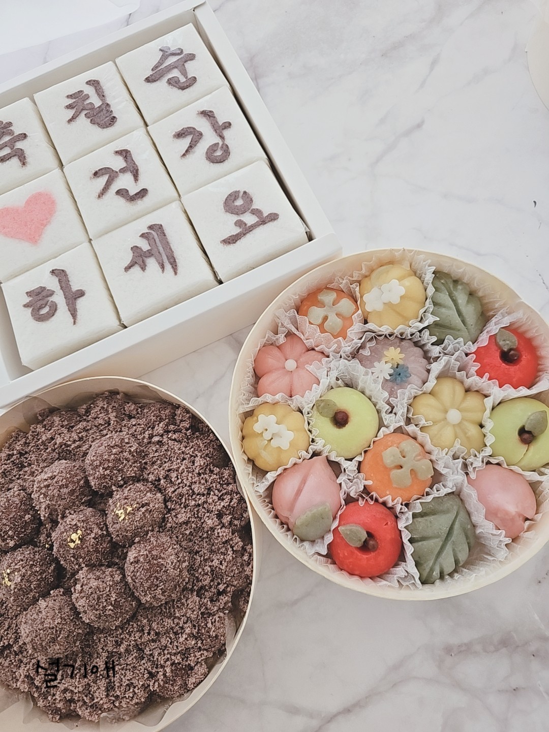 설기애 사진 4