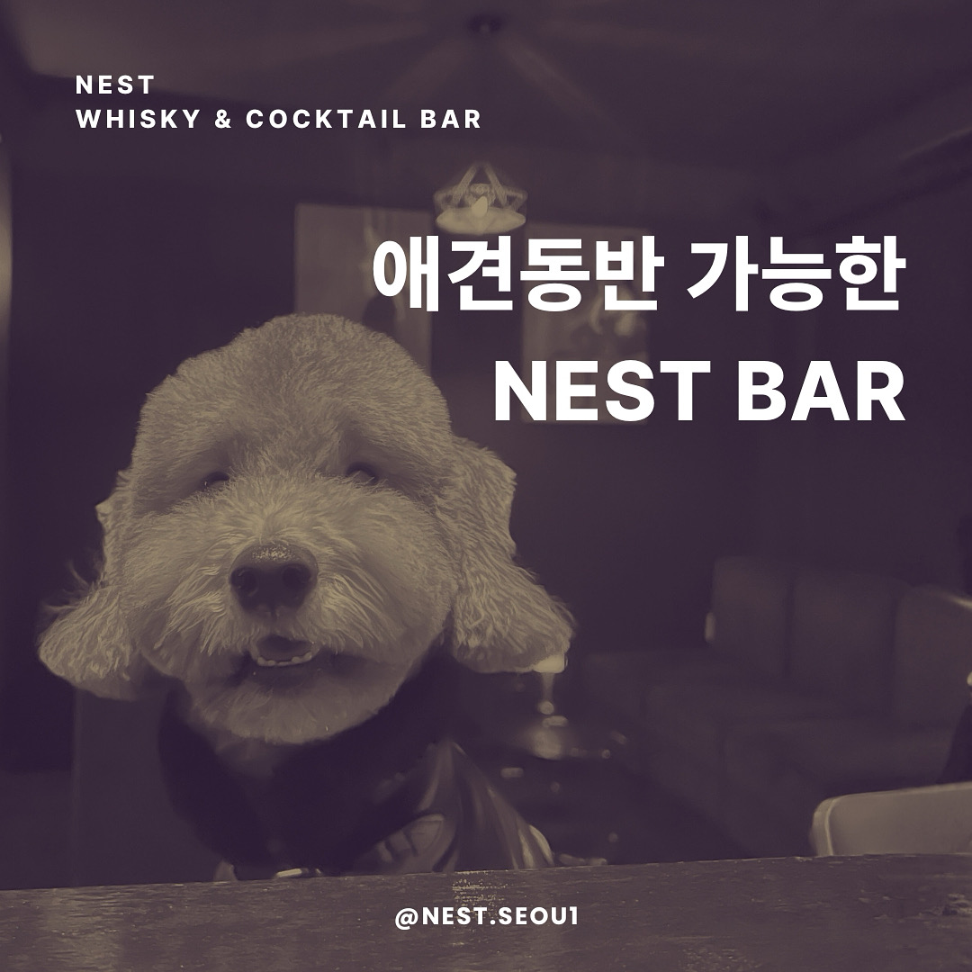 네스트 사진 3