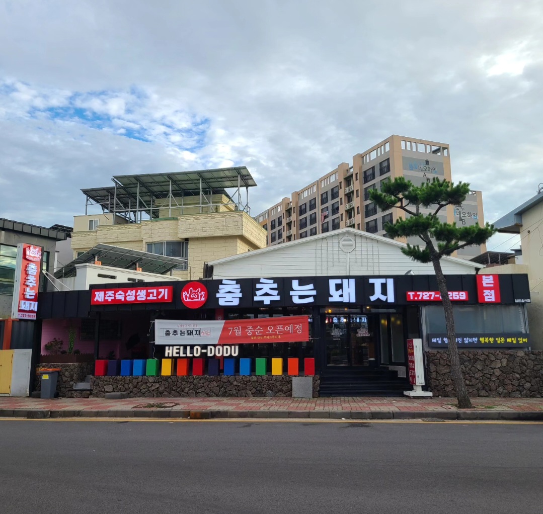 춤추는돼지 사진 8