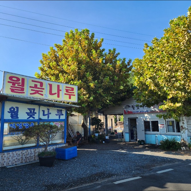 월곶나루 대표 사진