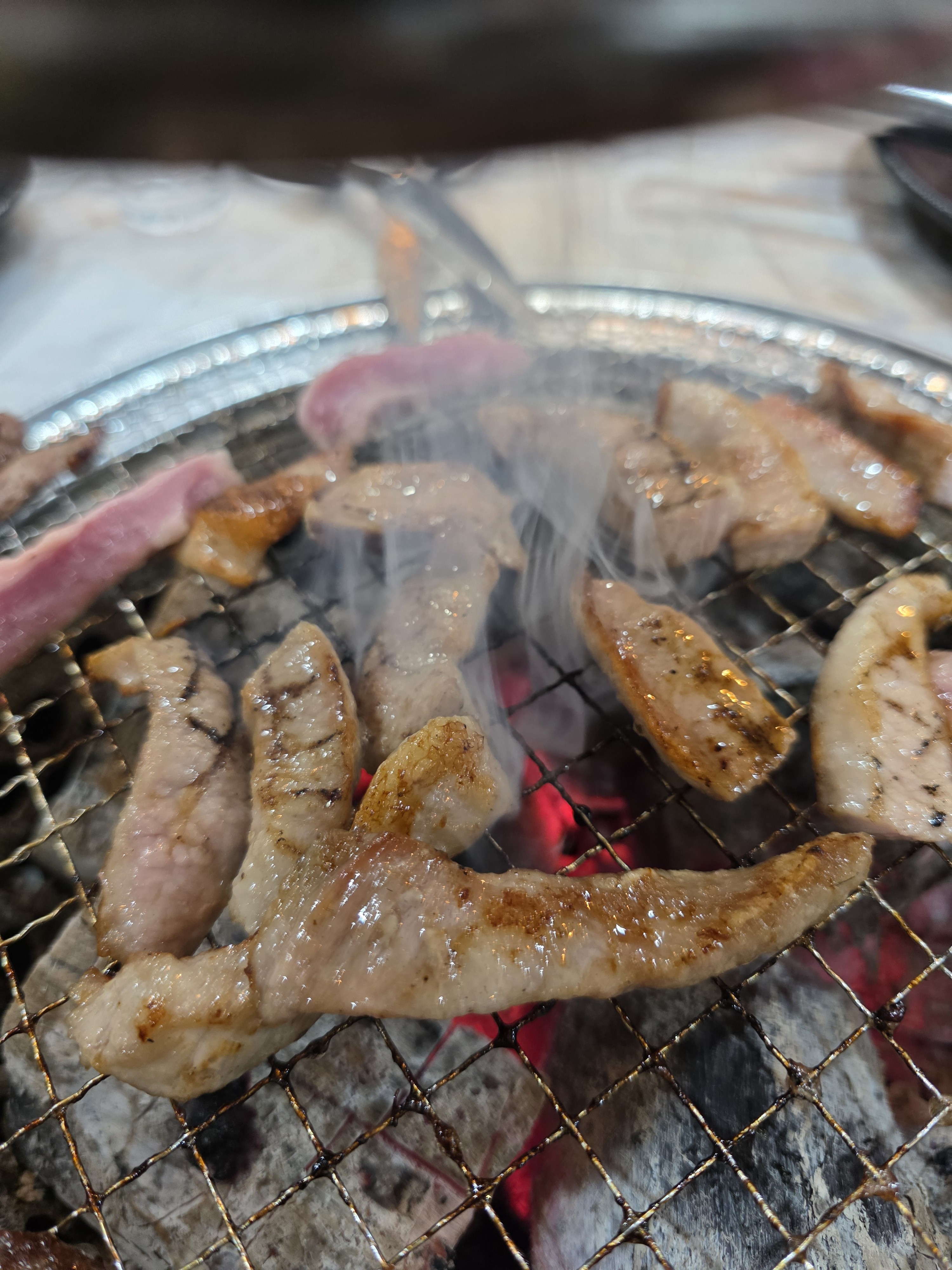구포갈매기 사진 5