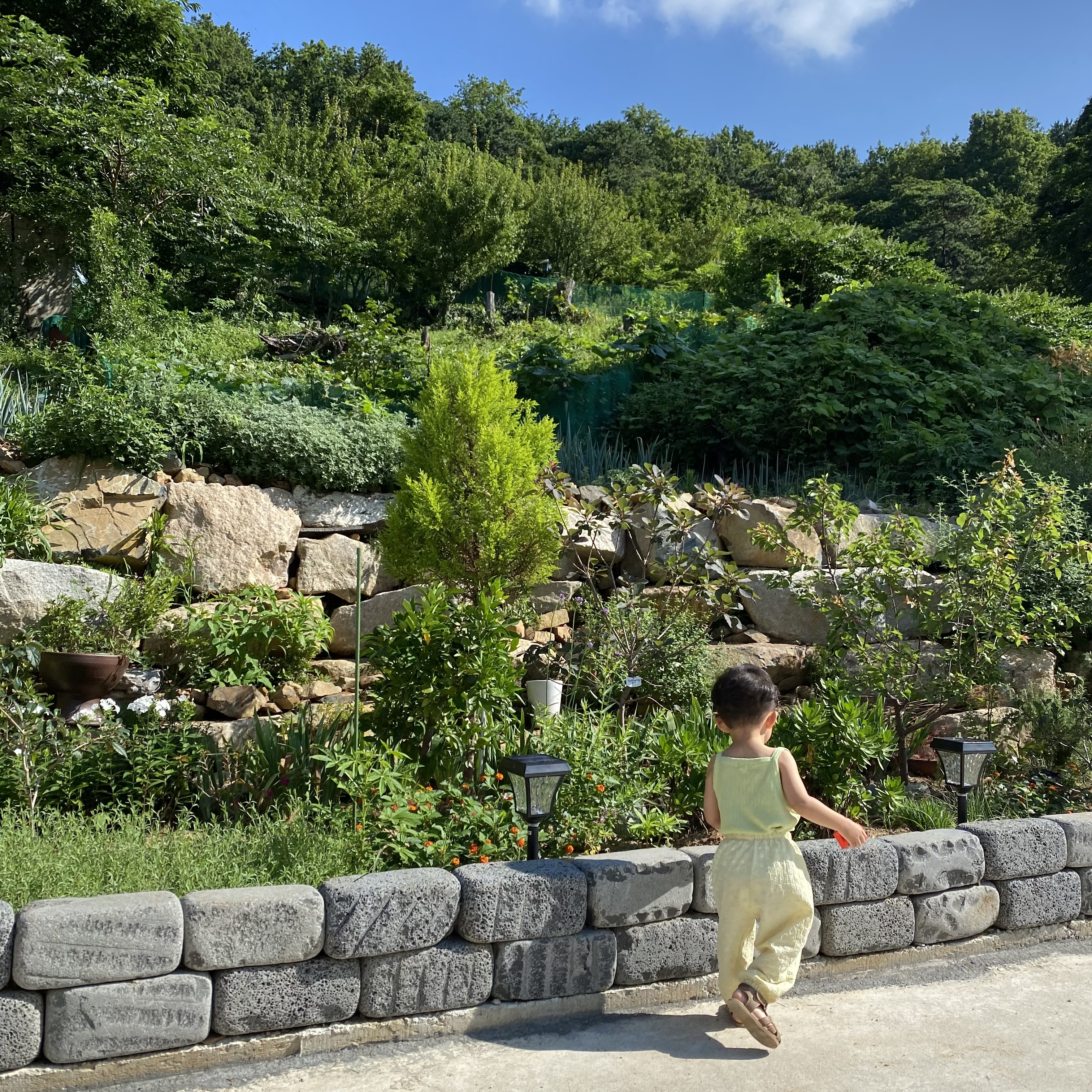 도레담 5