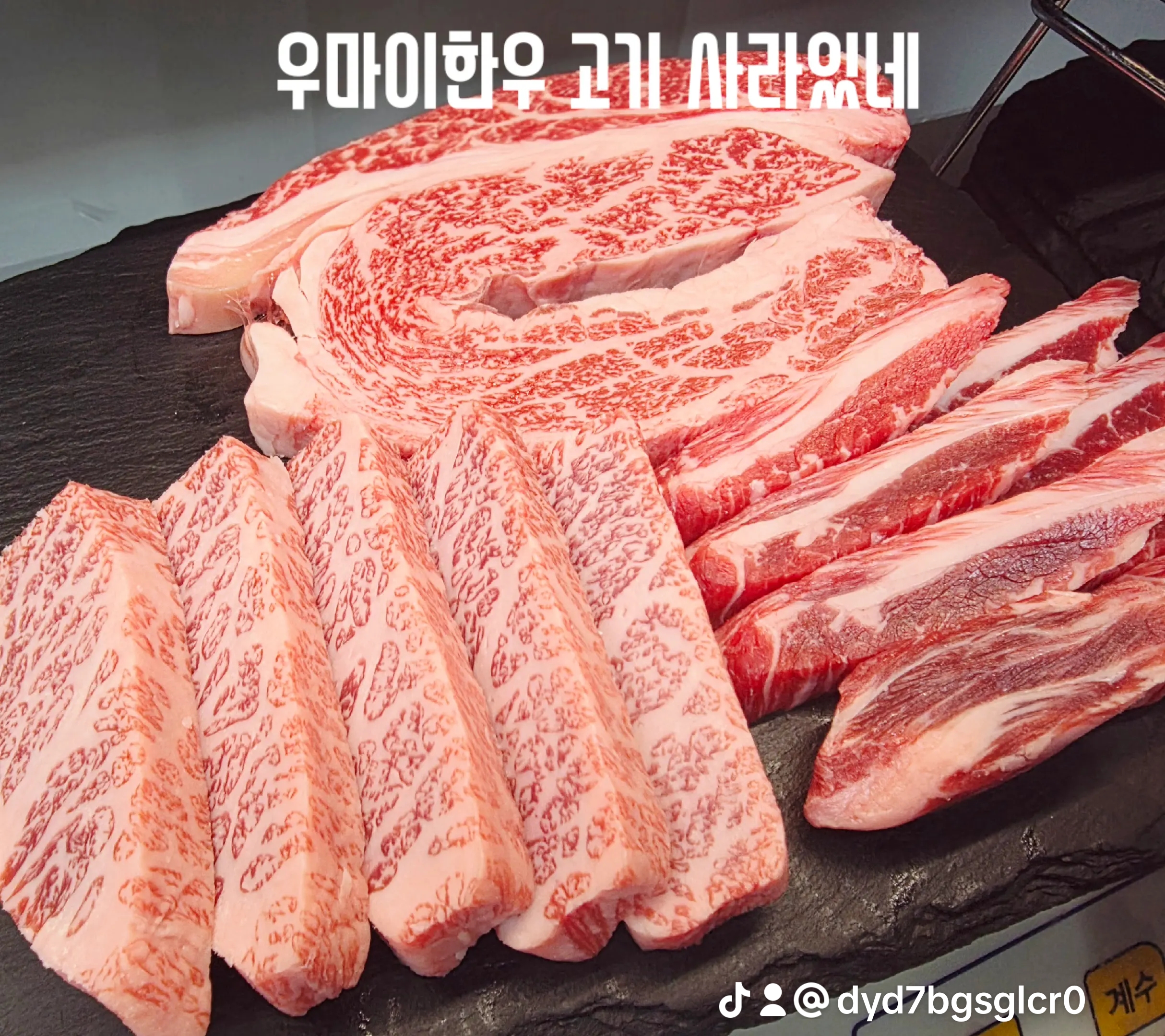 우마이 사진 3
