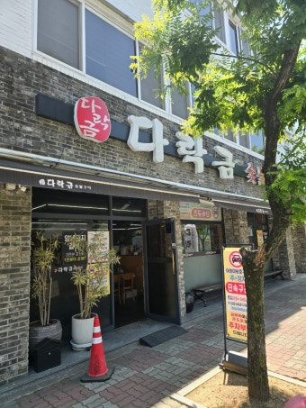 Darakgeum (다락금) 1