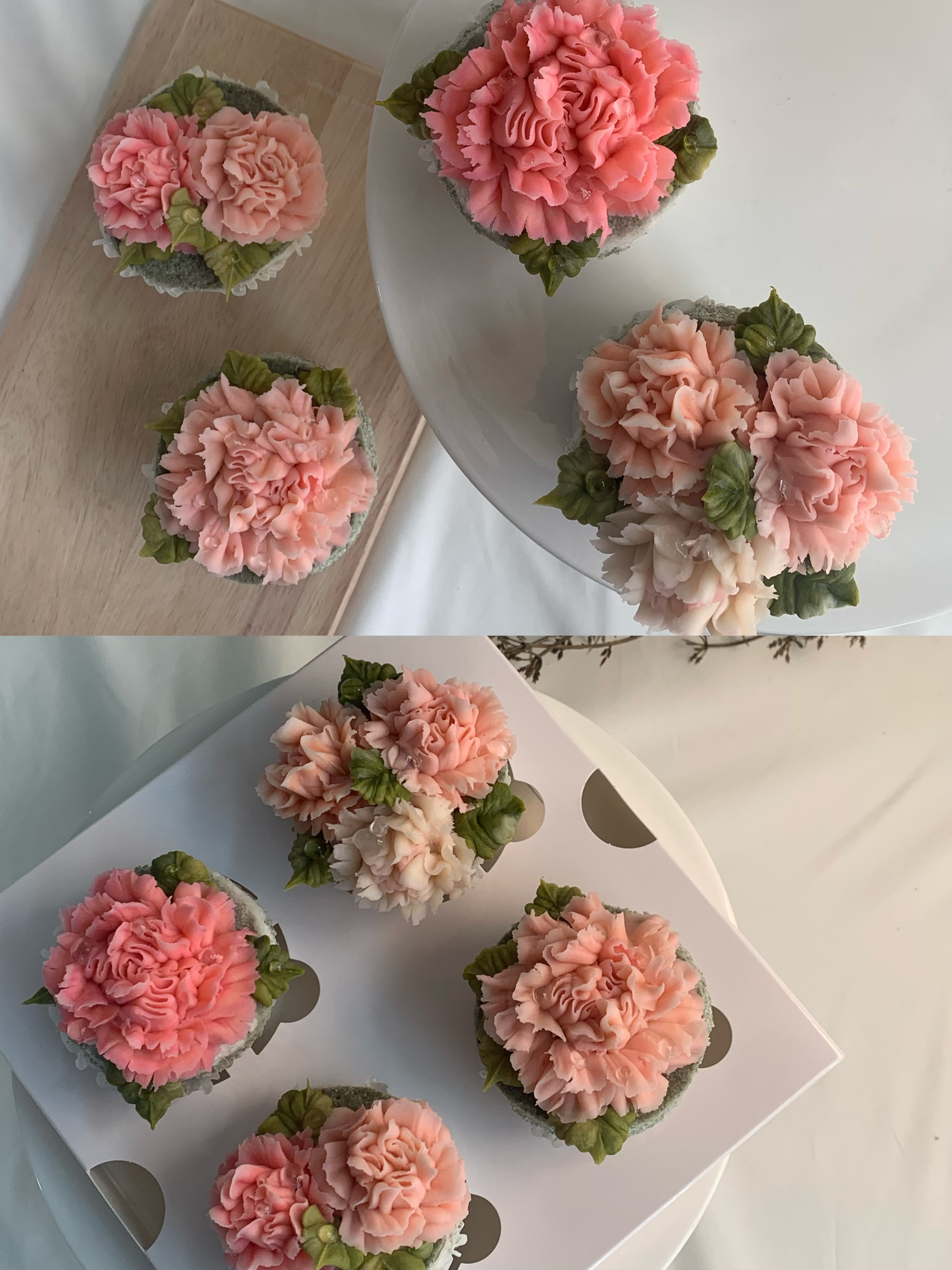 토끼풀 사진 2