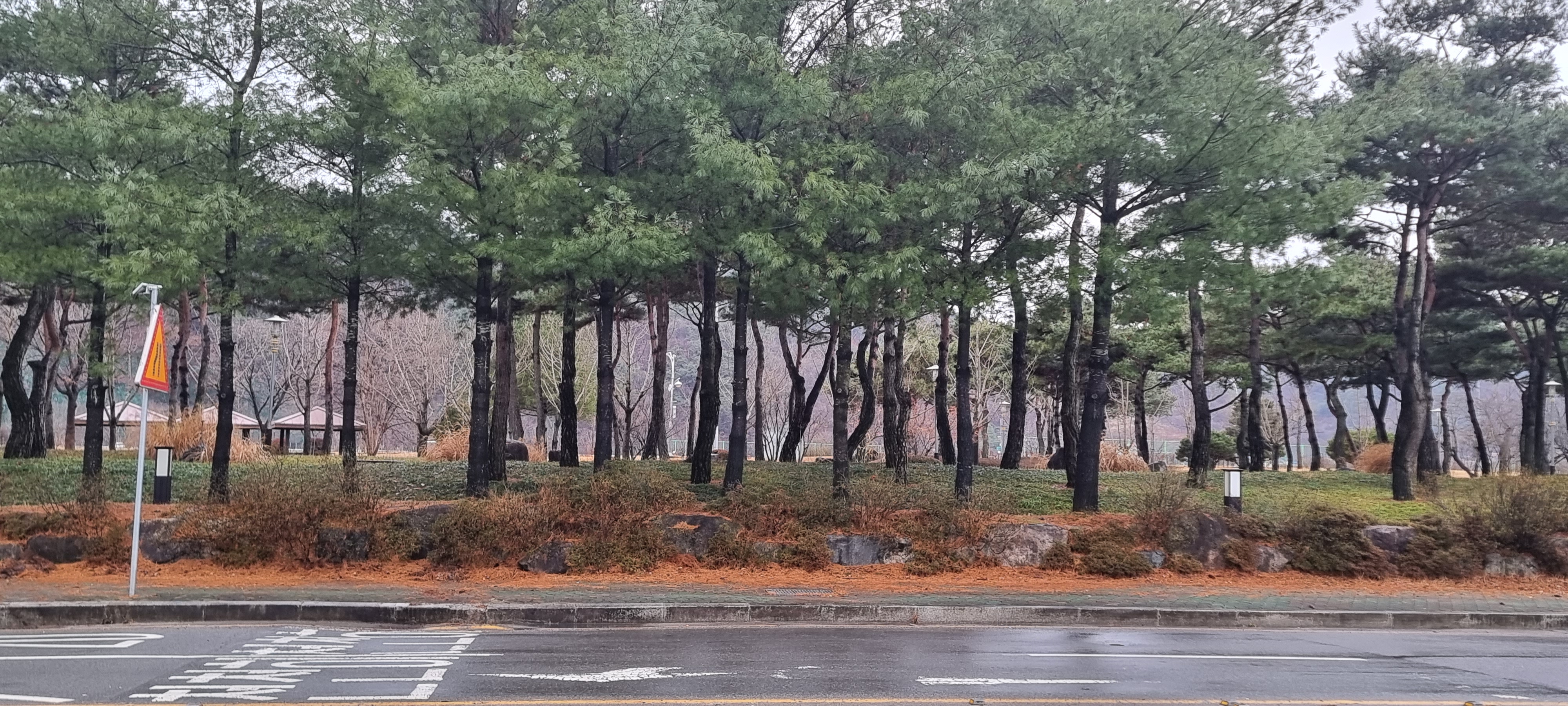 Cheonghakdong 5