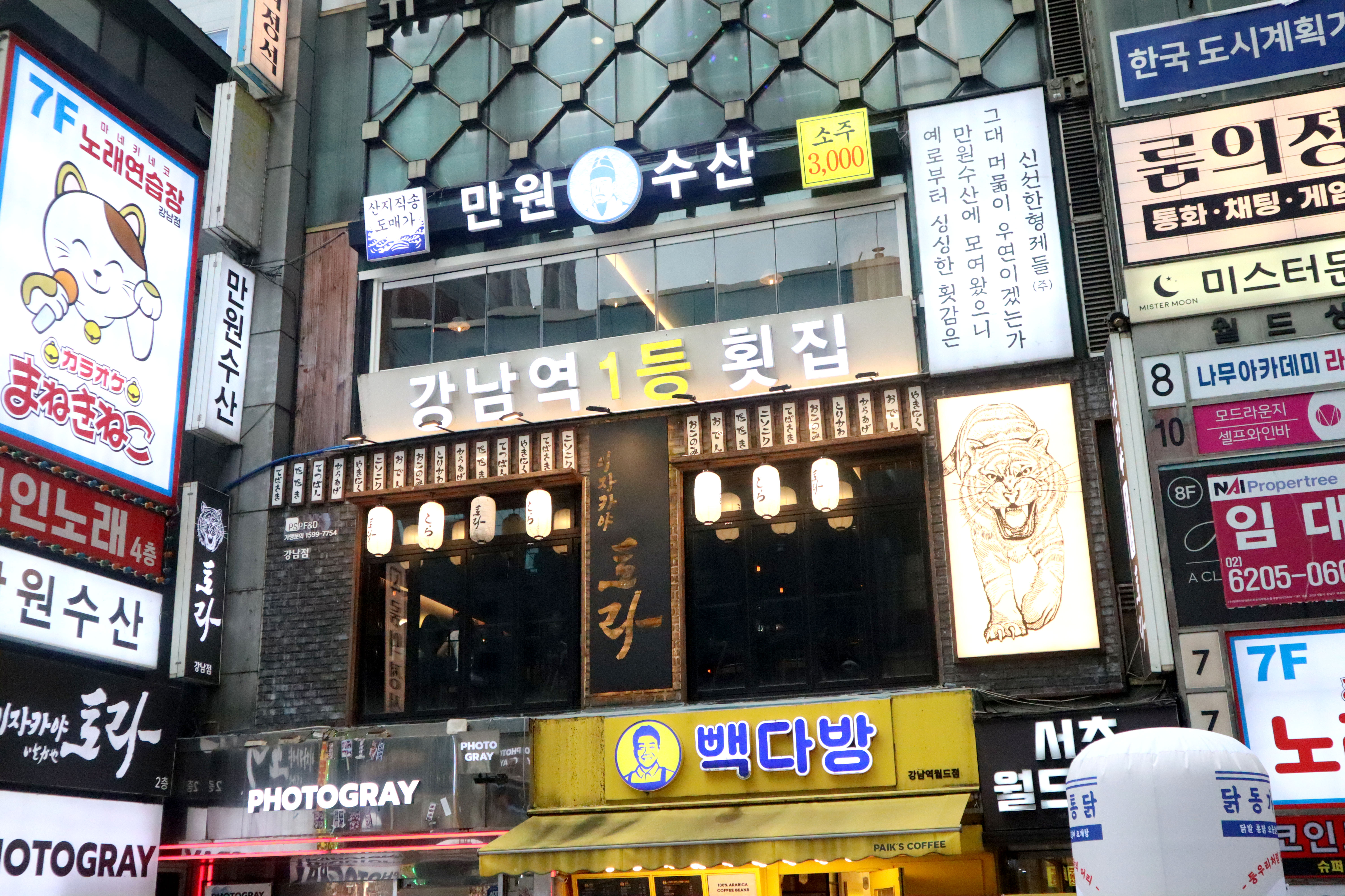 토라 강남점 사진 5