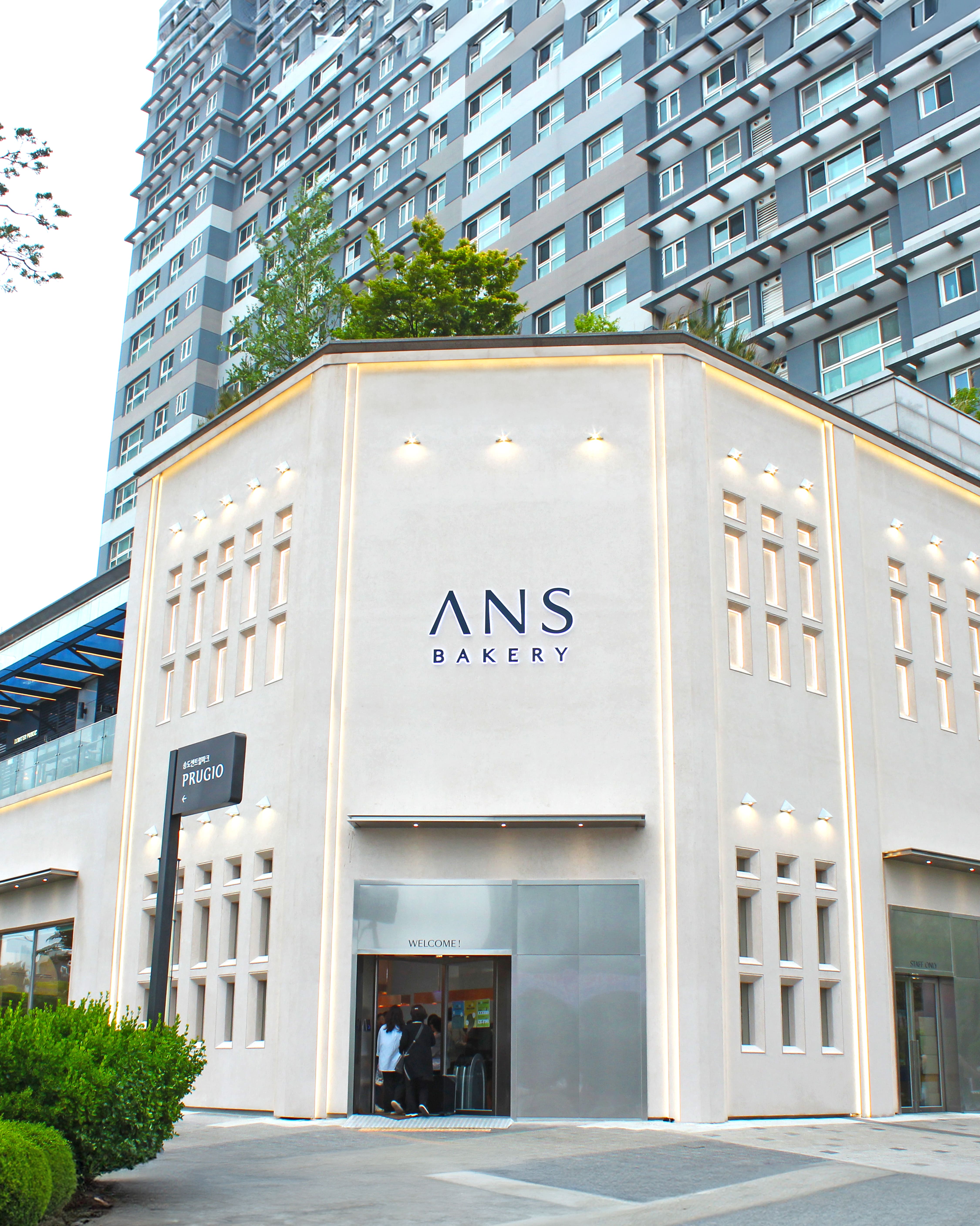 Anseu 1