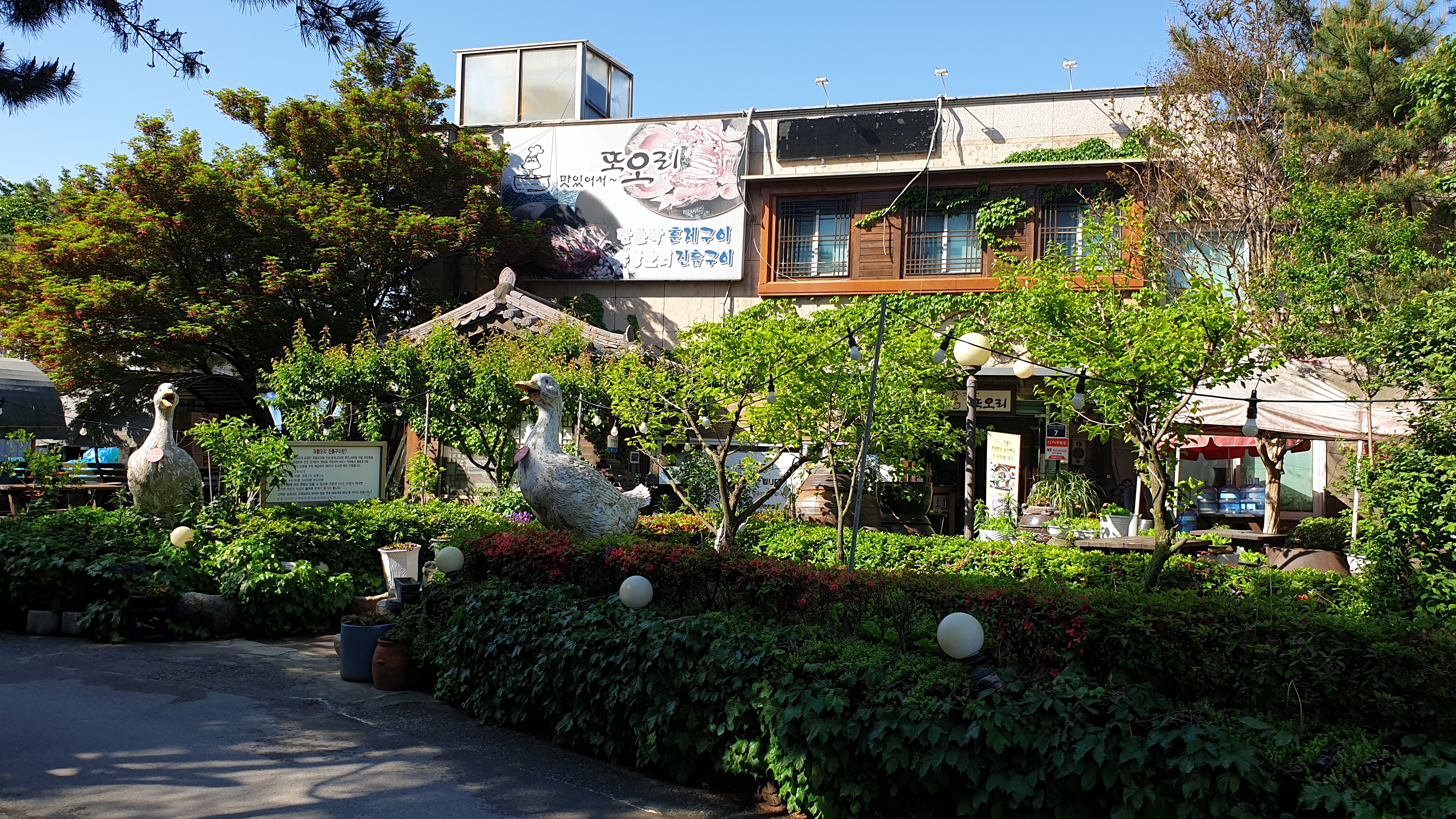 Ttoori (또오리) 1