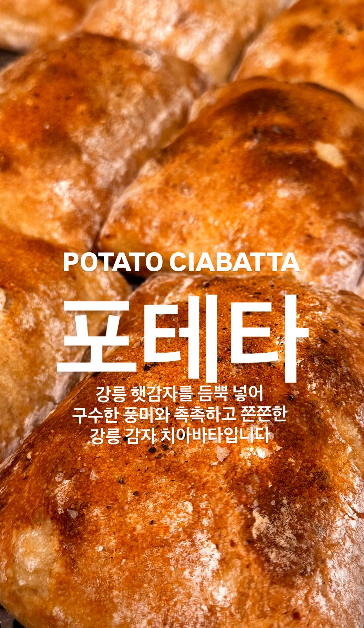 꽁치바스켓 사진 4