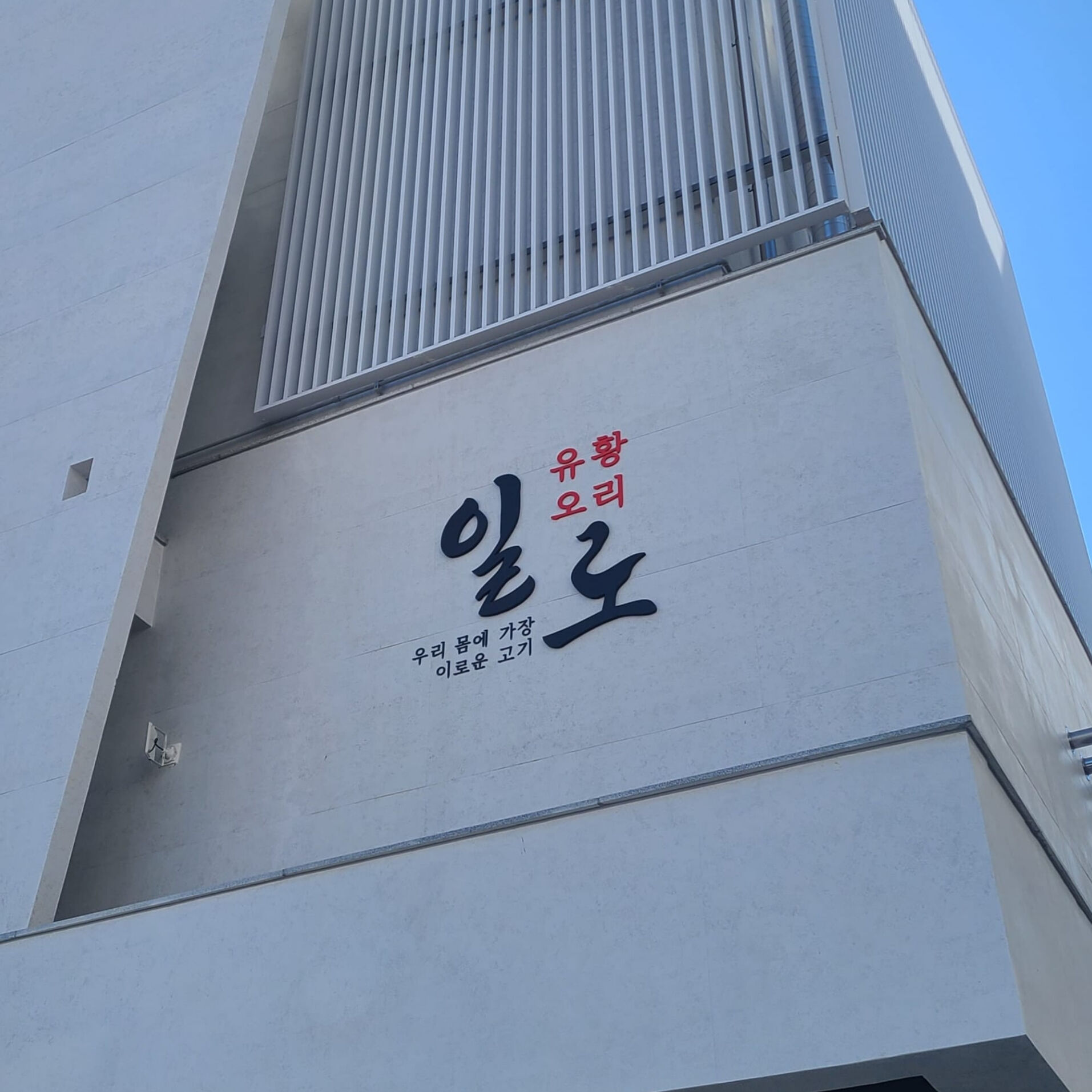 일로 사진 6