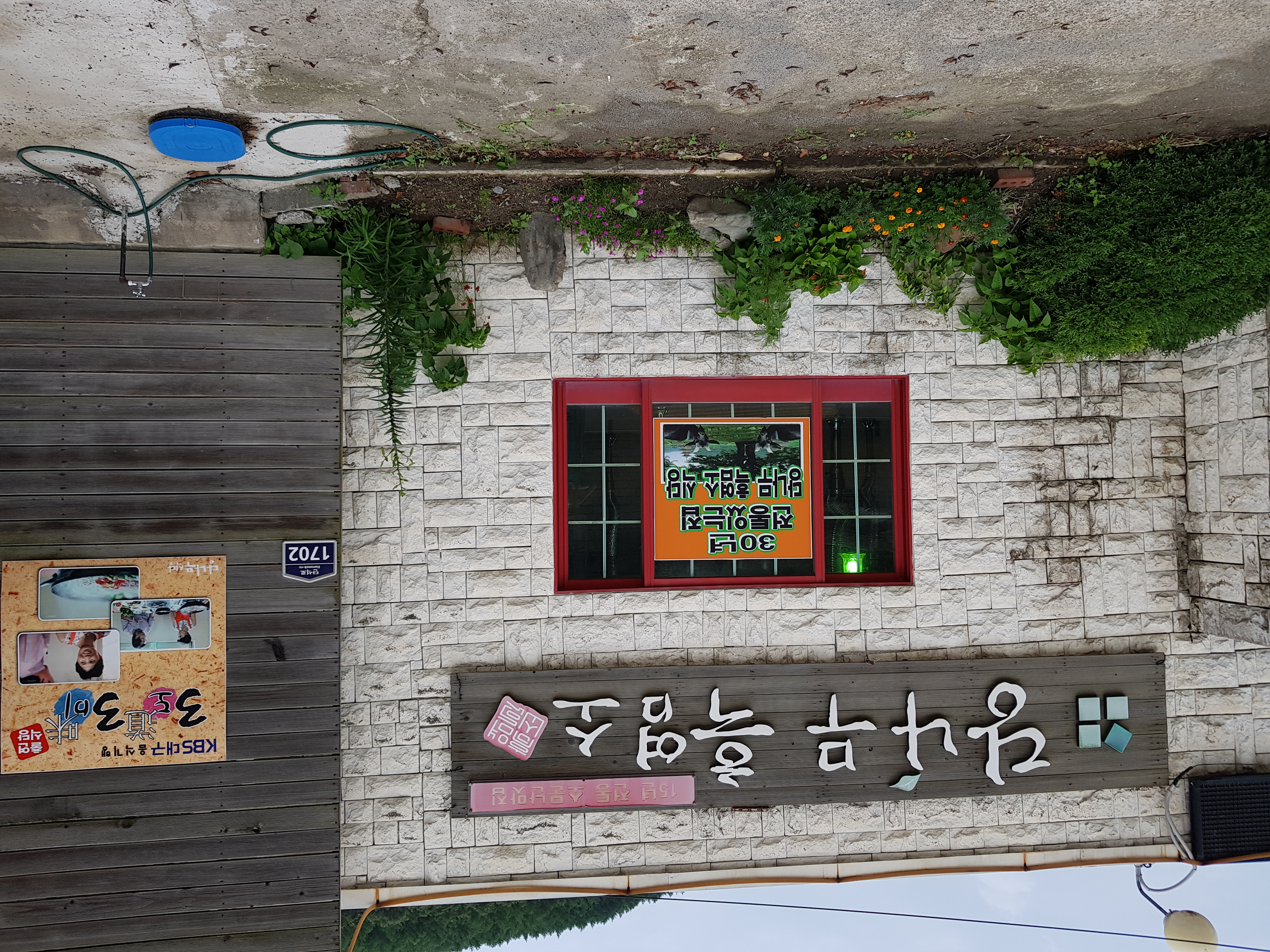 당나무흑염소 사진 2