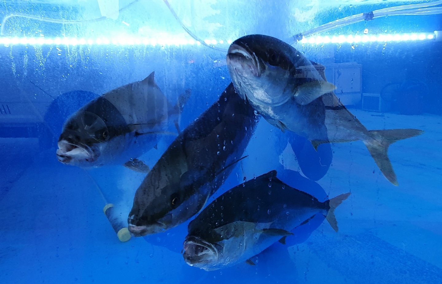 관포지교 사진 7
