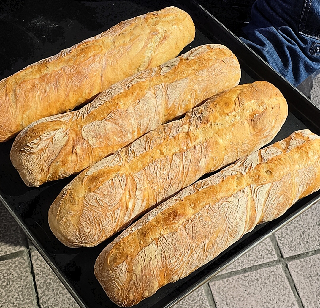 브로트704 대표 사진