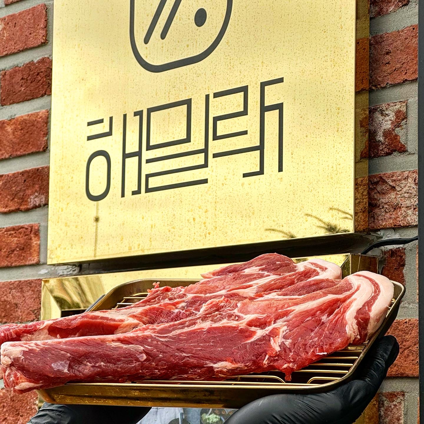 해밀락 사진 8