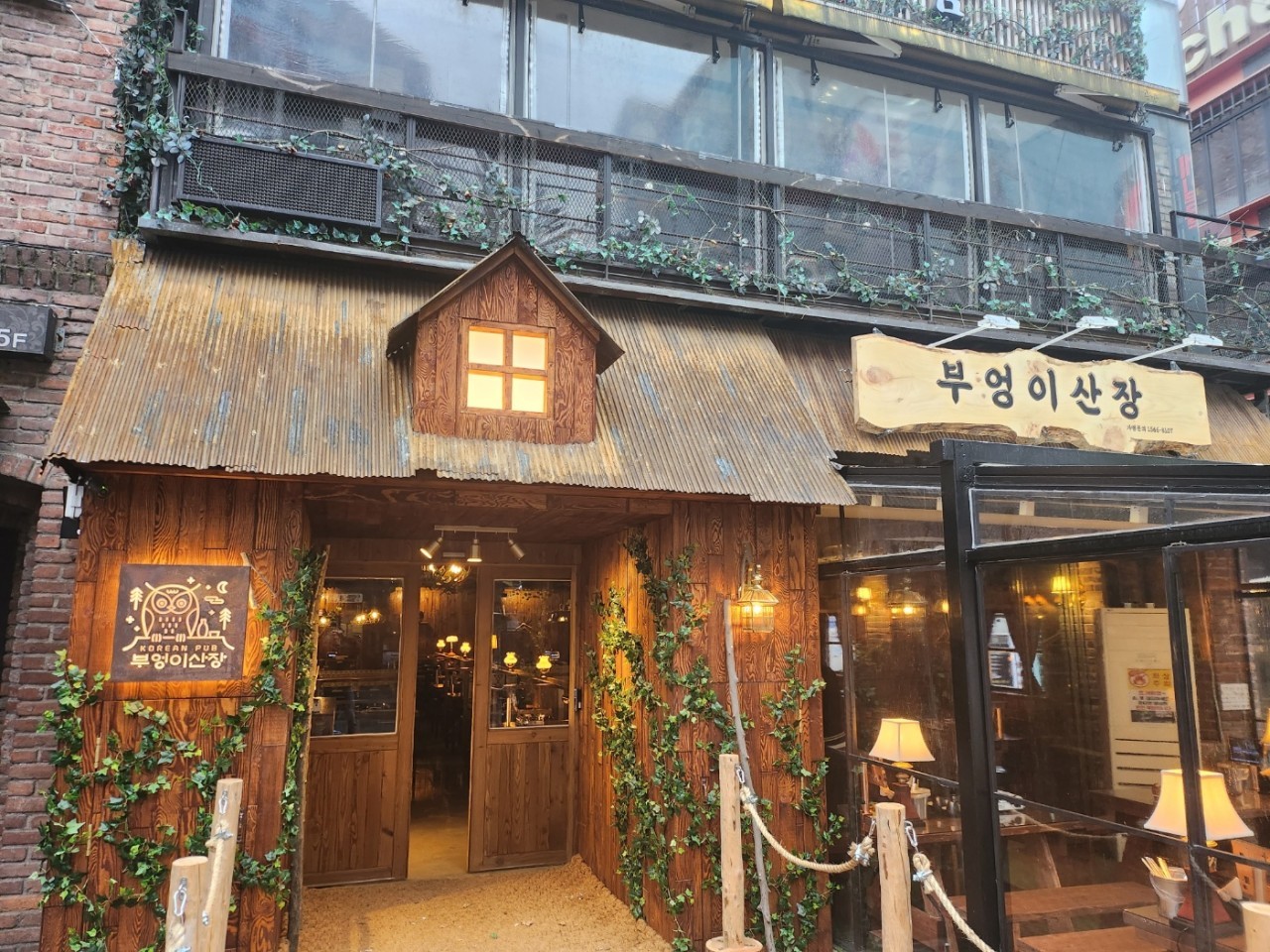부엉이산장 강남지오다노점 사진 2