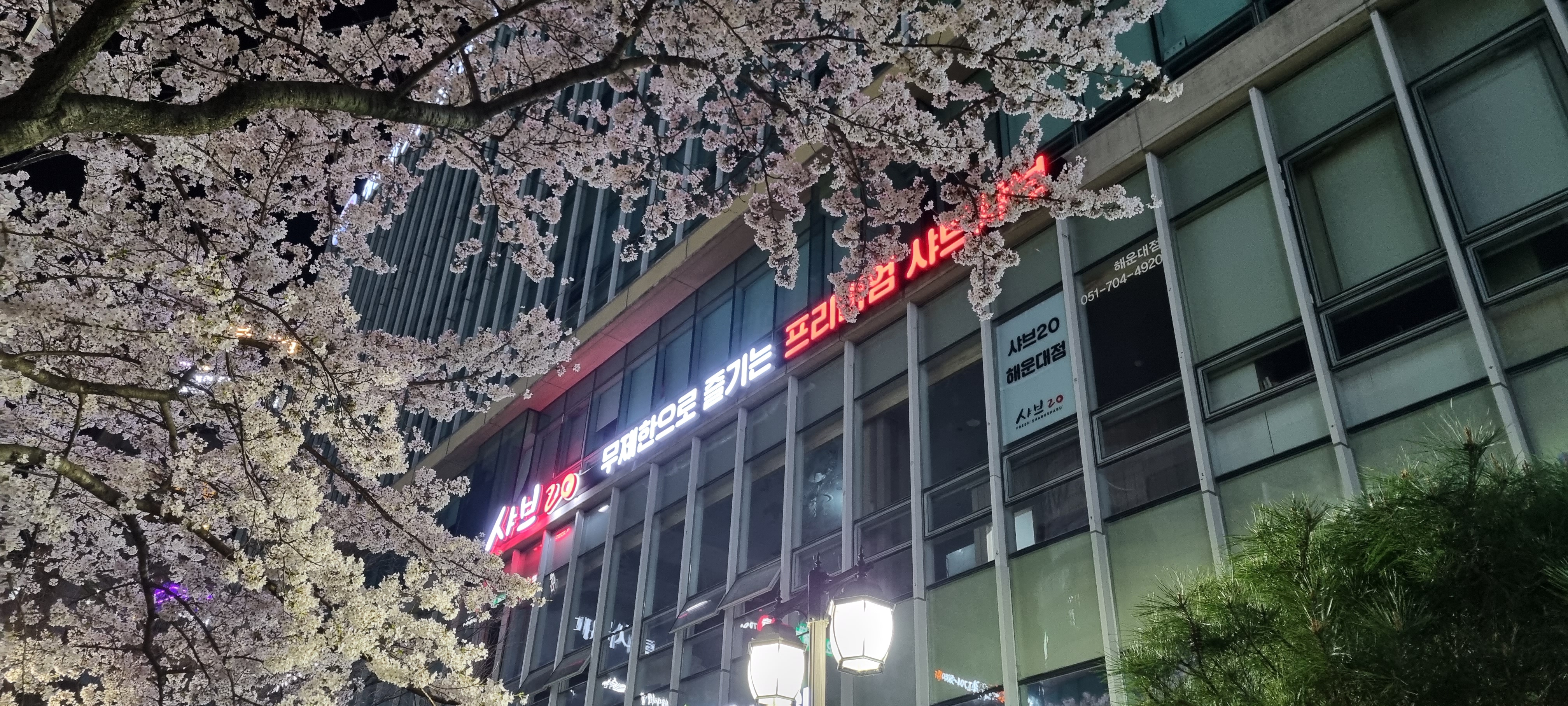 샤브20 해운대점 사진 3