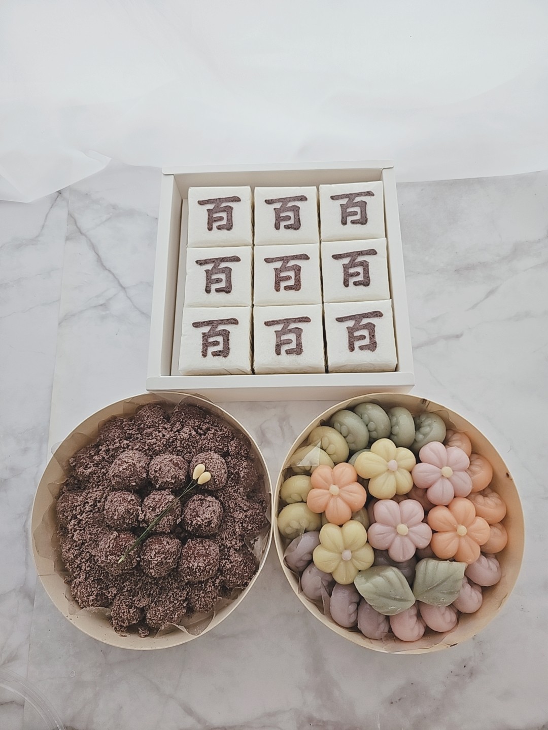 설기애 사진 7