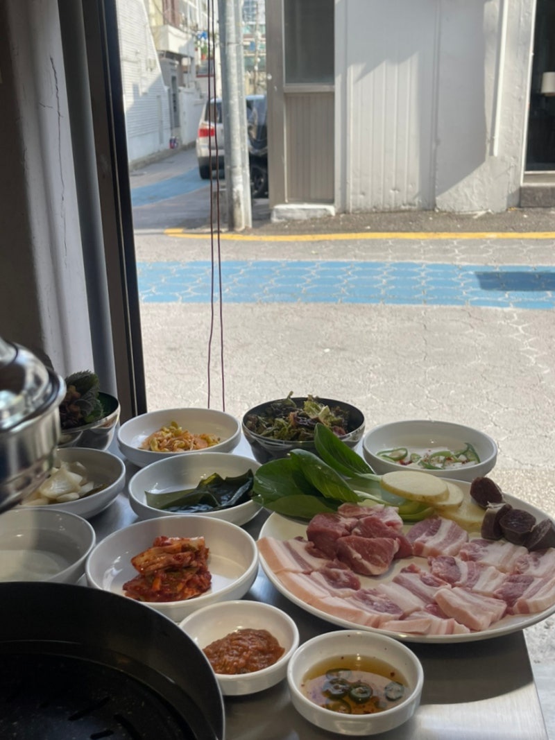 돈나비 사진 7