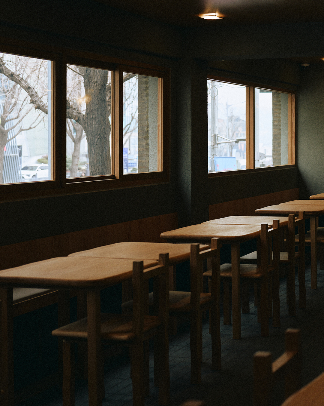 테비 사진 8